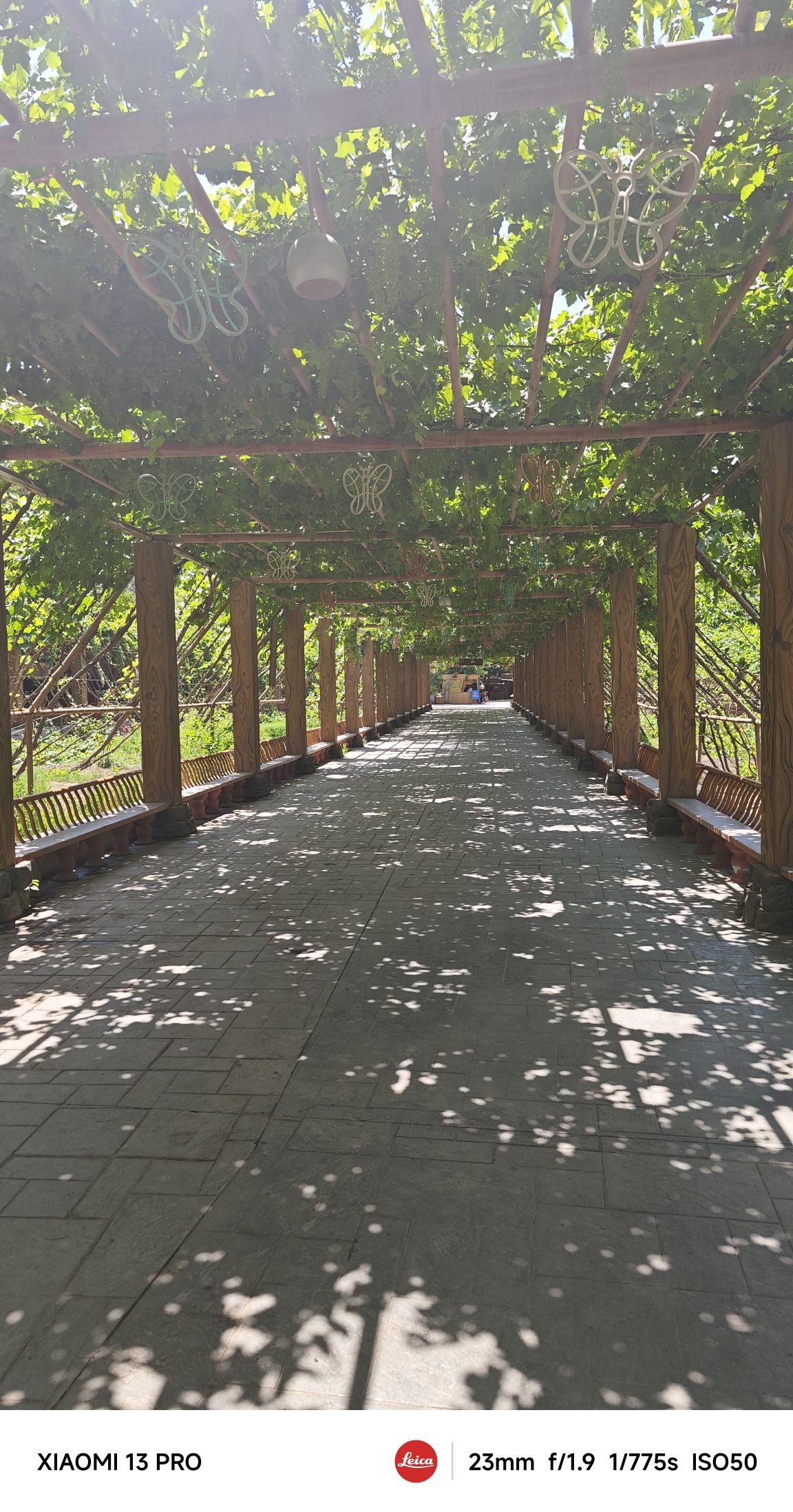 吐鲁番葡萄沟风景区-木卡姆长廊