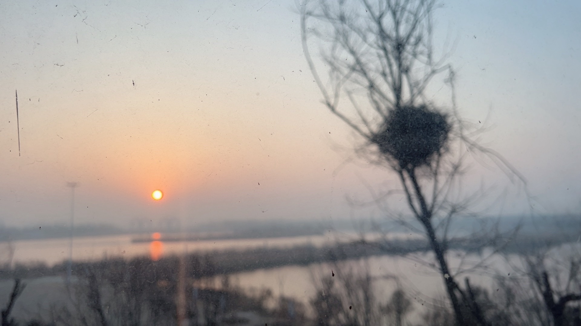 乌镇牌坊旅行图片 1