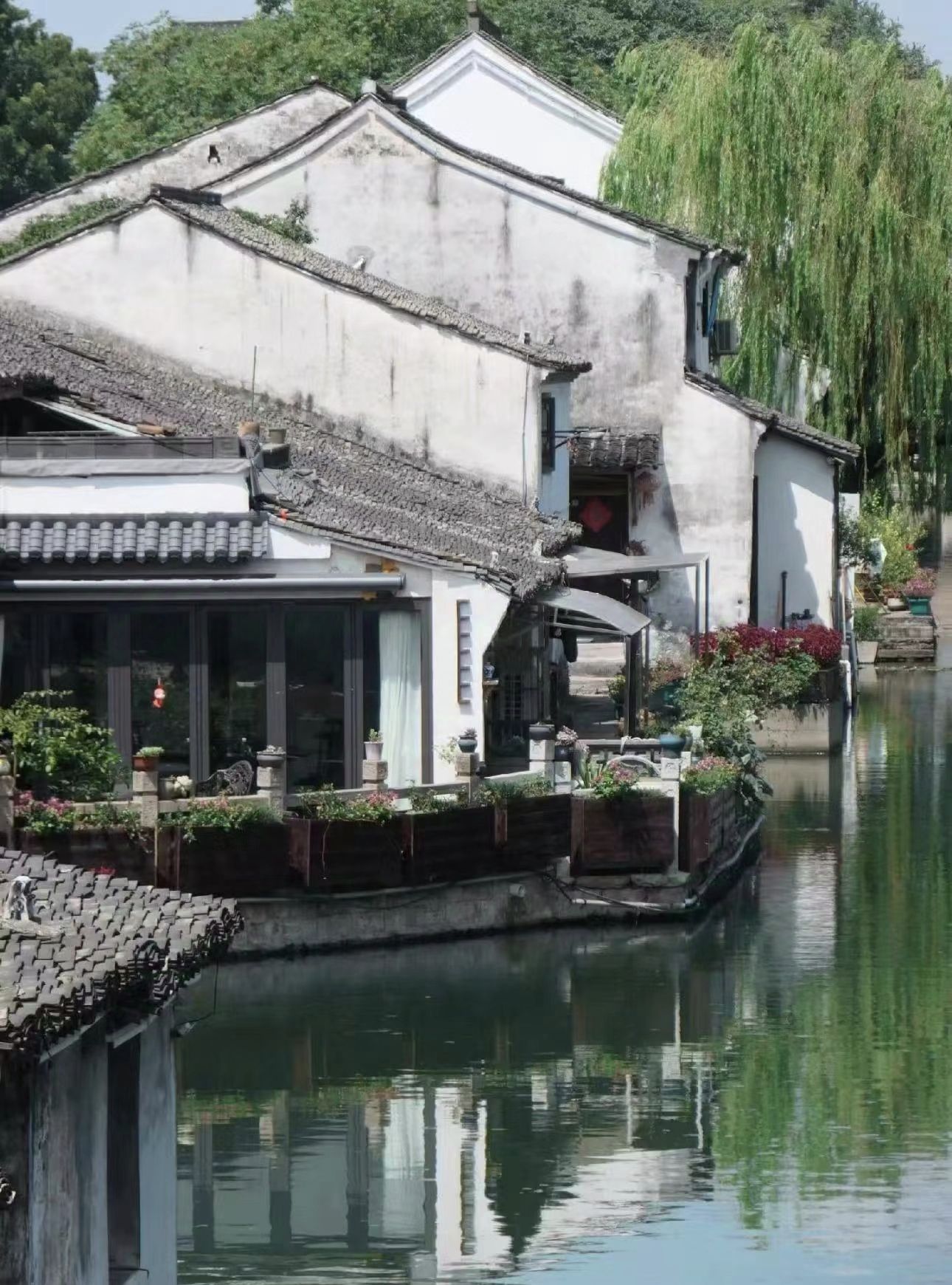 乌镇牌坊旅行图片 1