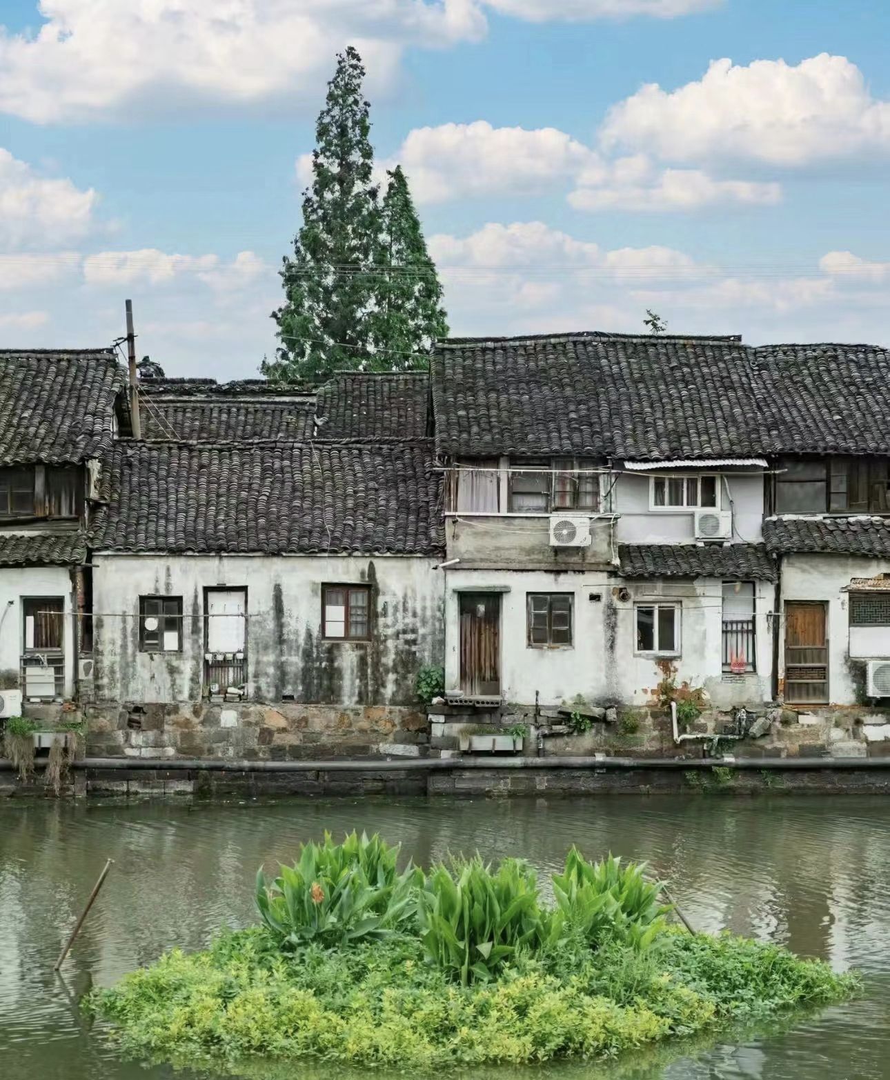 乌镇牌坊旅行图片 2