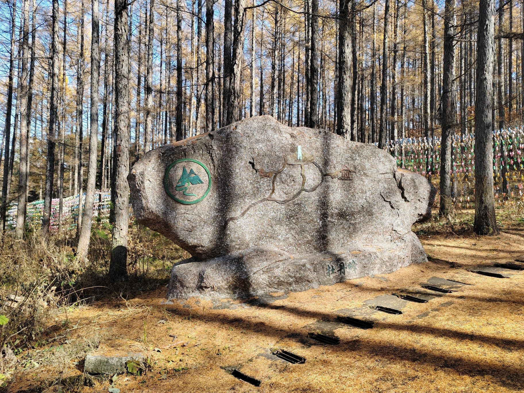 牡丹峰国家森林公园旅行图片 1
