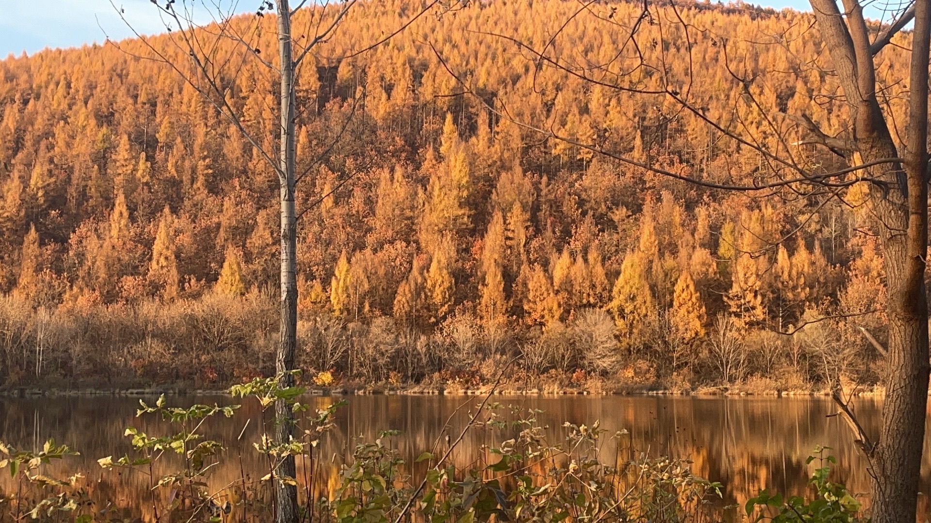 牡丹峰国家森林公园旅行图片 1