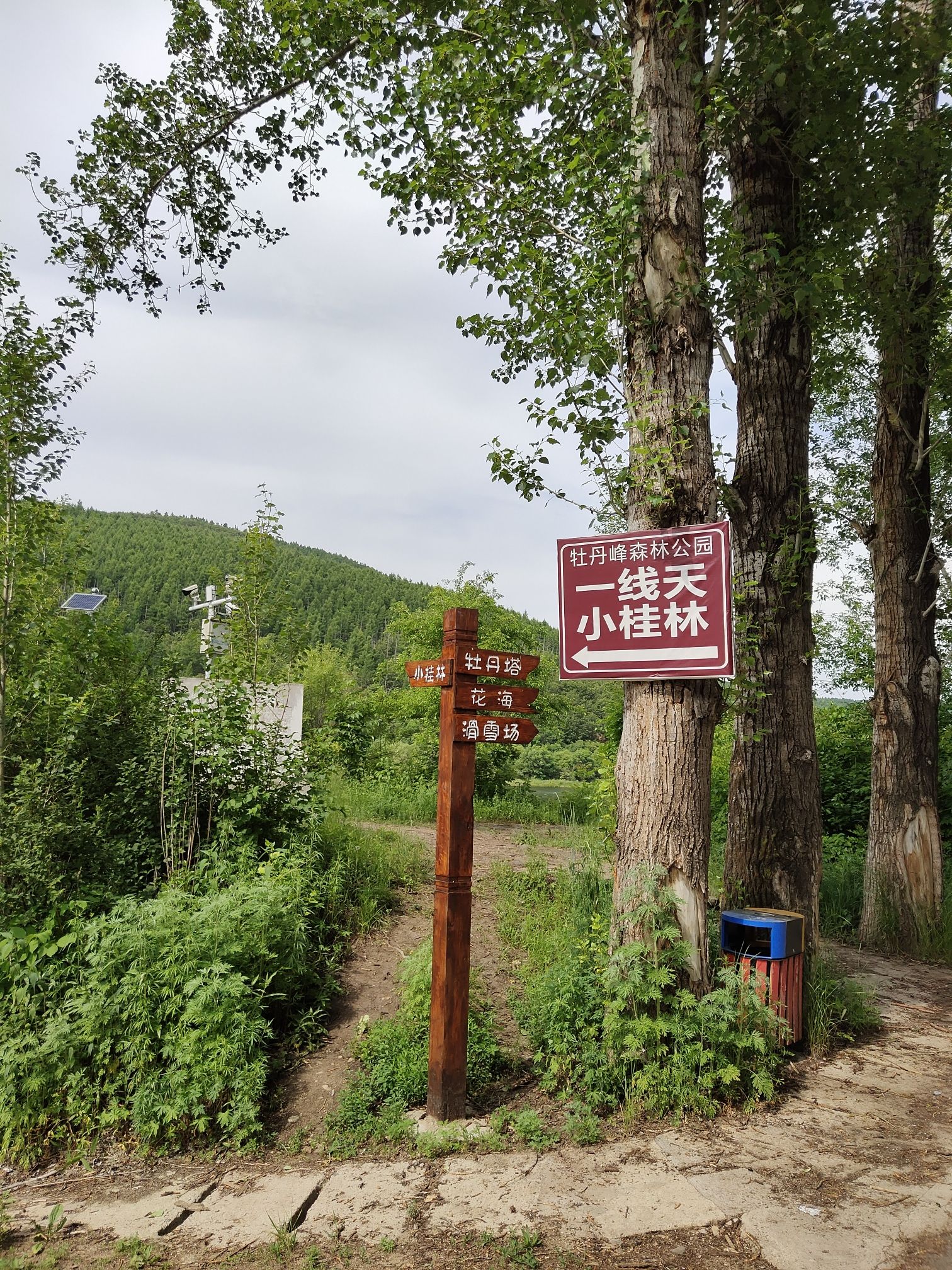牡丹峰国家森林公园旅行图片 3
