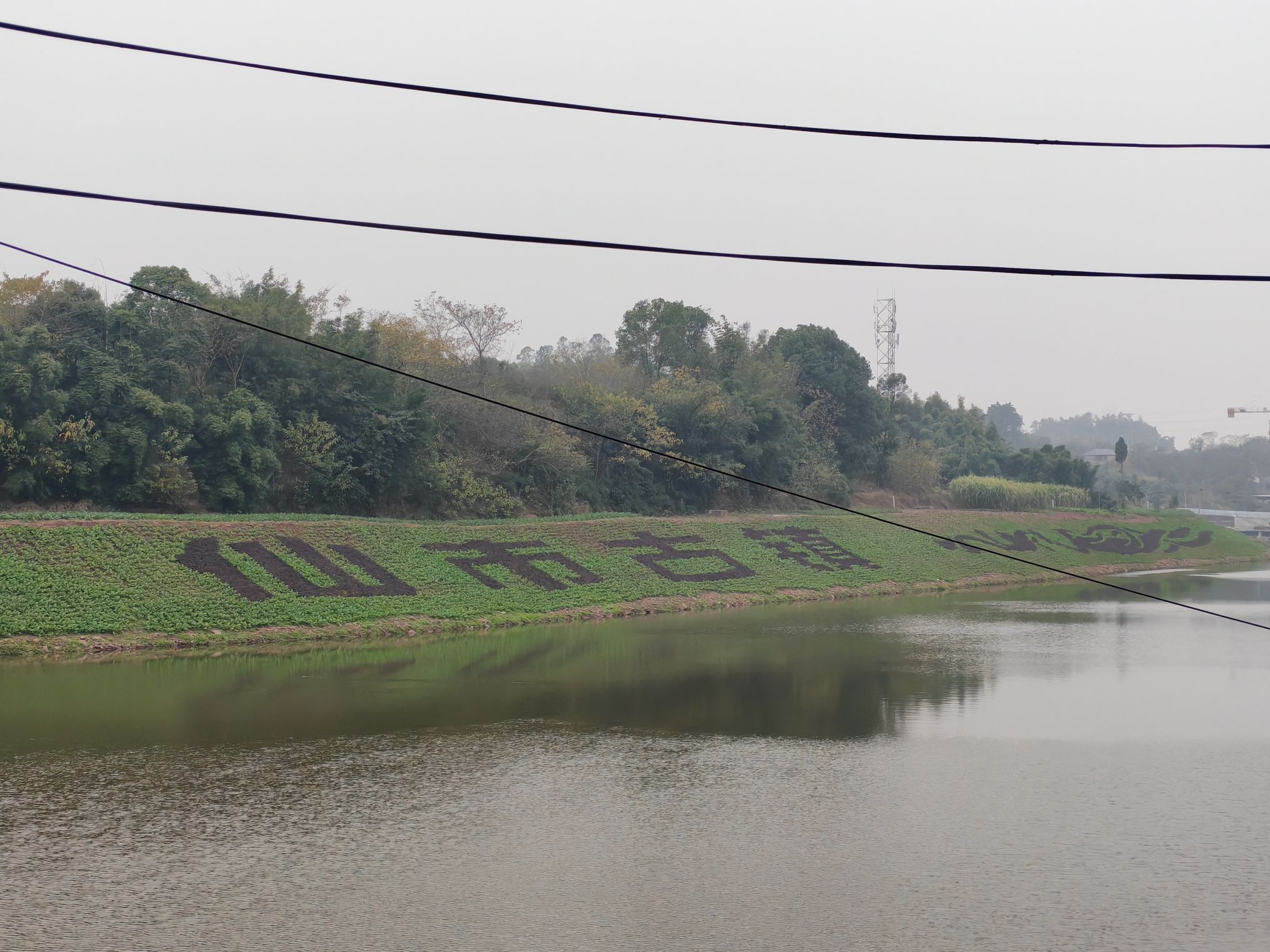 仙市古镇旅行图片 3