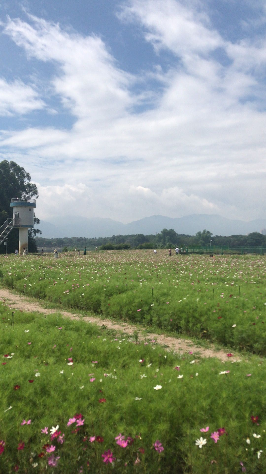 西溪亲水公园旅行图片 1