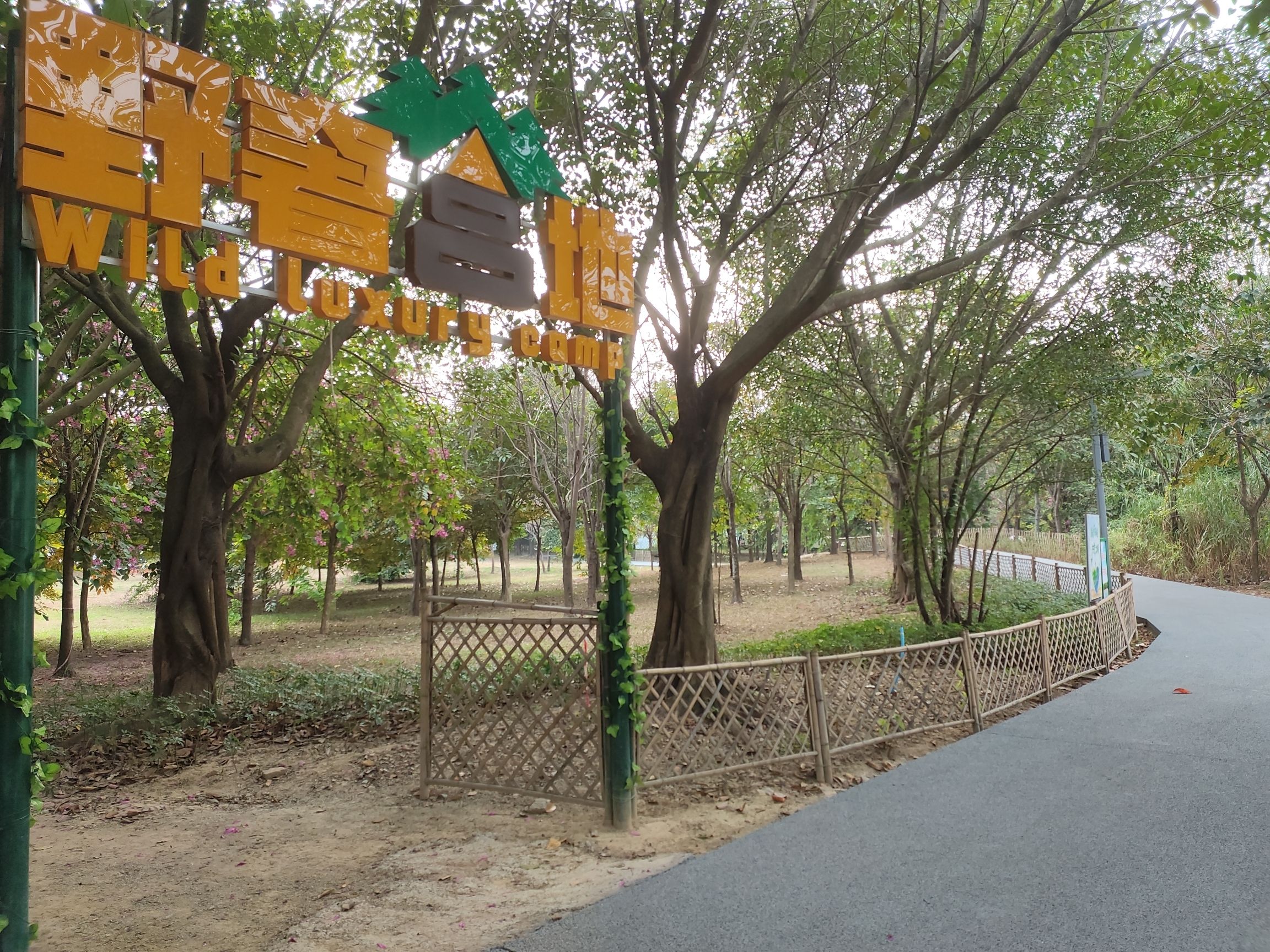 西溪亲水公园旅行图片 3