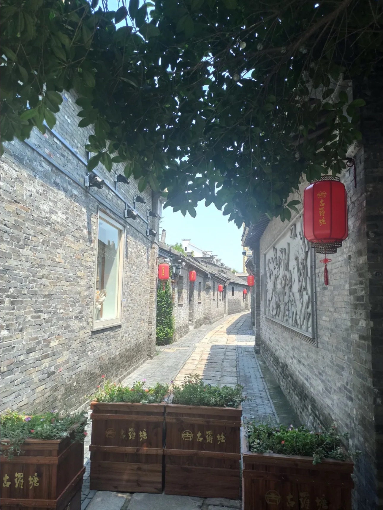 姜堰古罗塘旅游文化景区