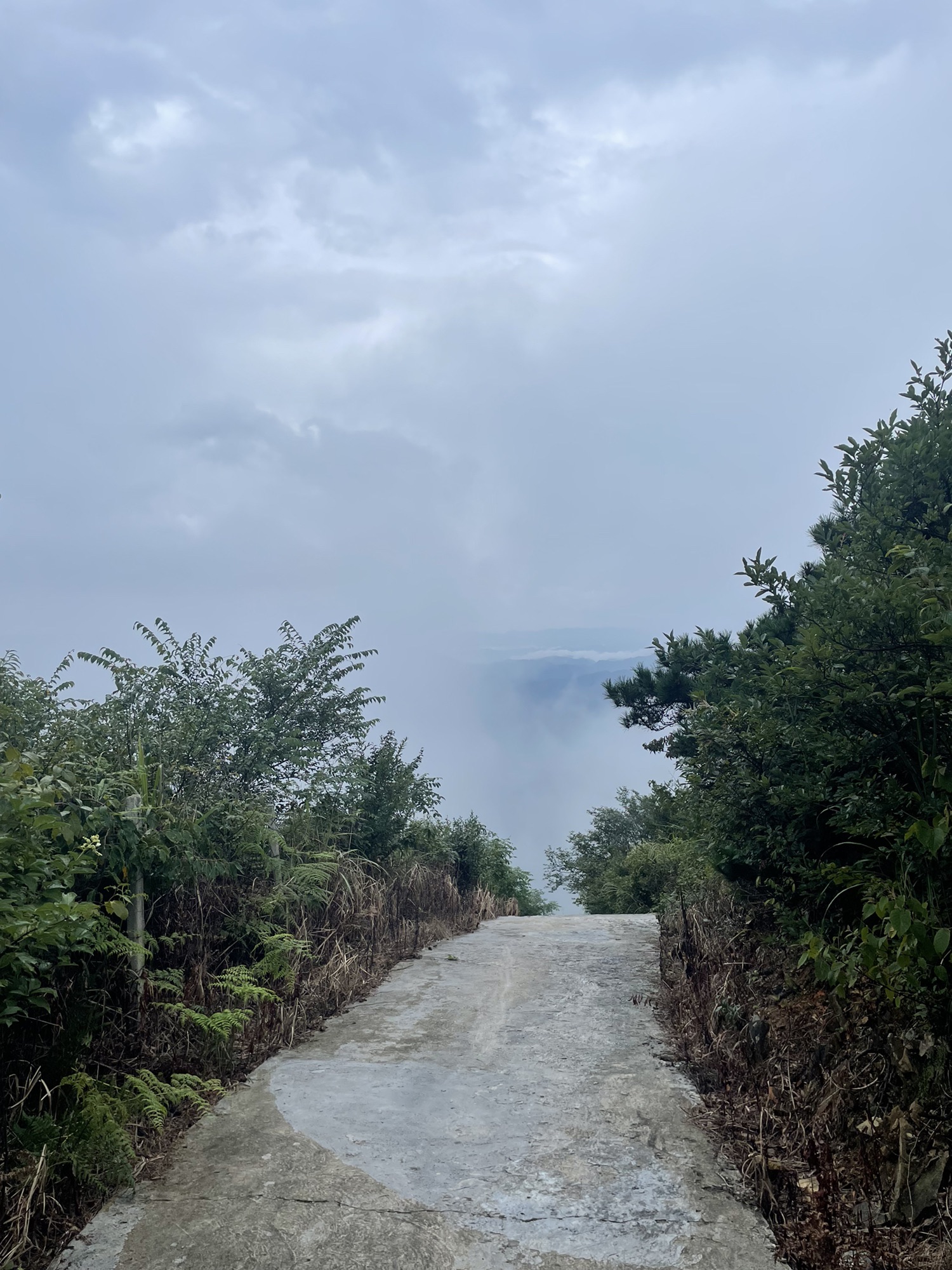 雪峰山国家森林公园旅行图片 2