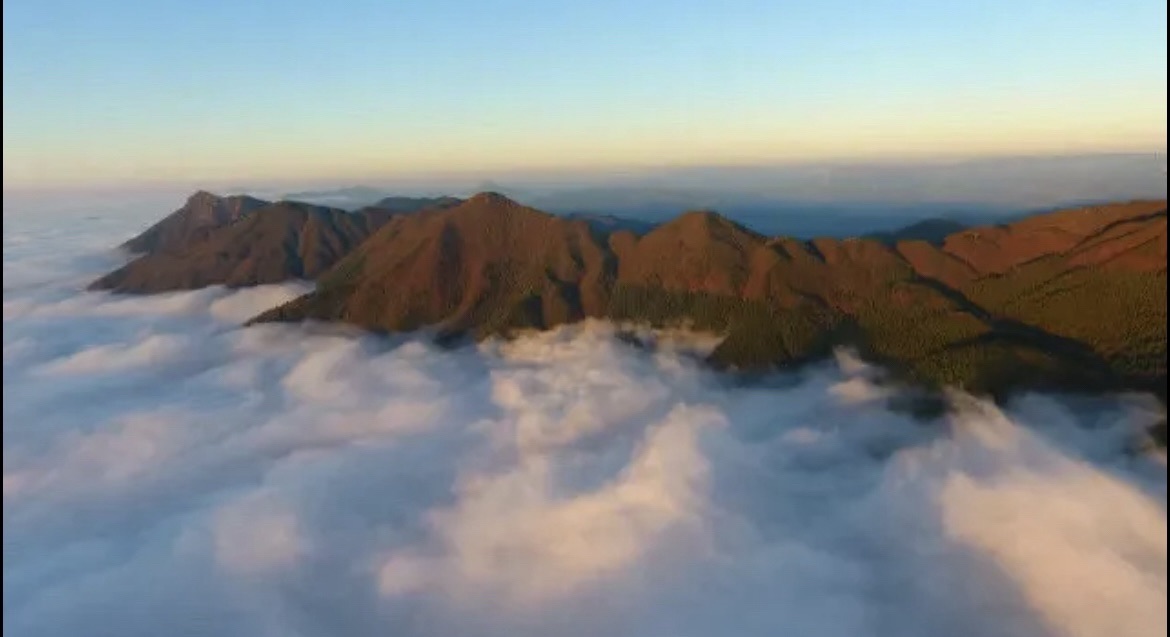 雪峰山森林公园