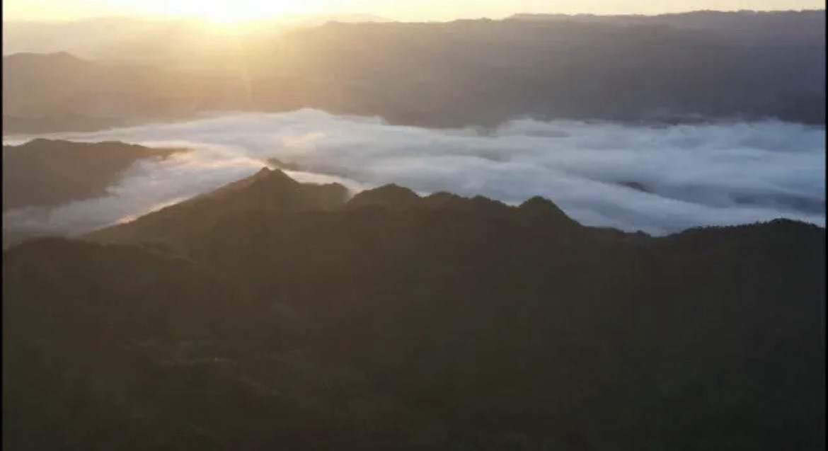 雪峰山国家森林公园旅行图片 2