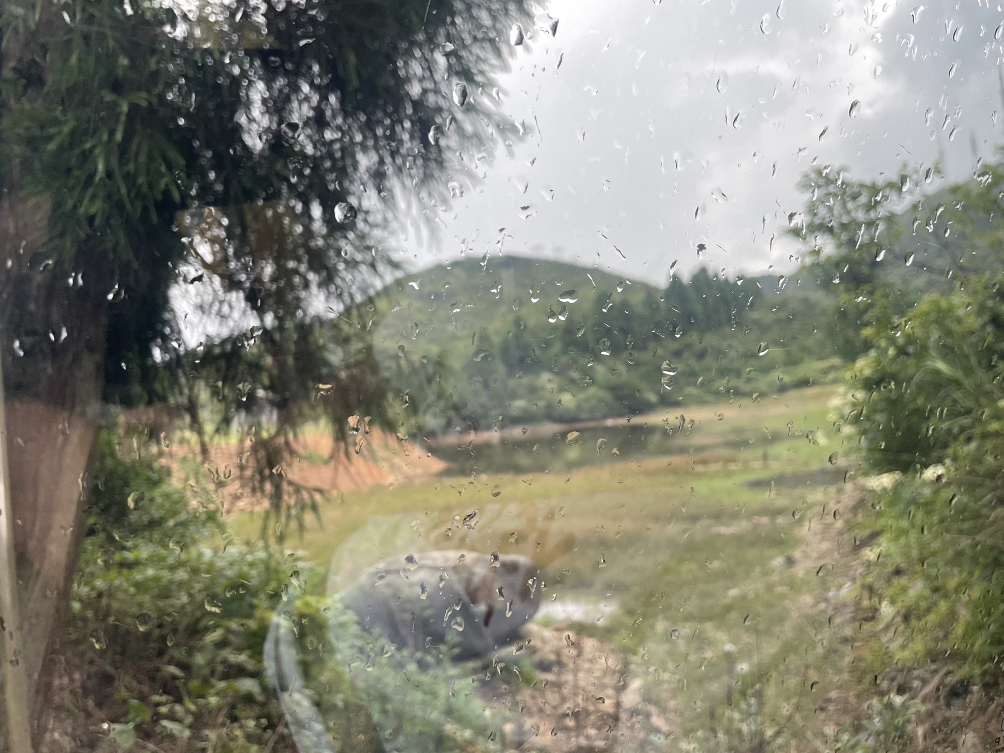 雪峰山国家森林公园旅行图片 1