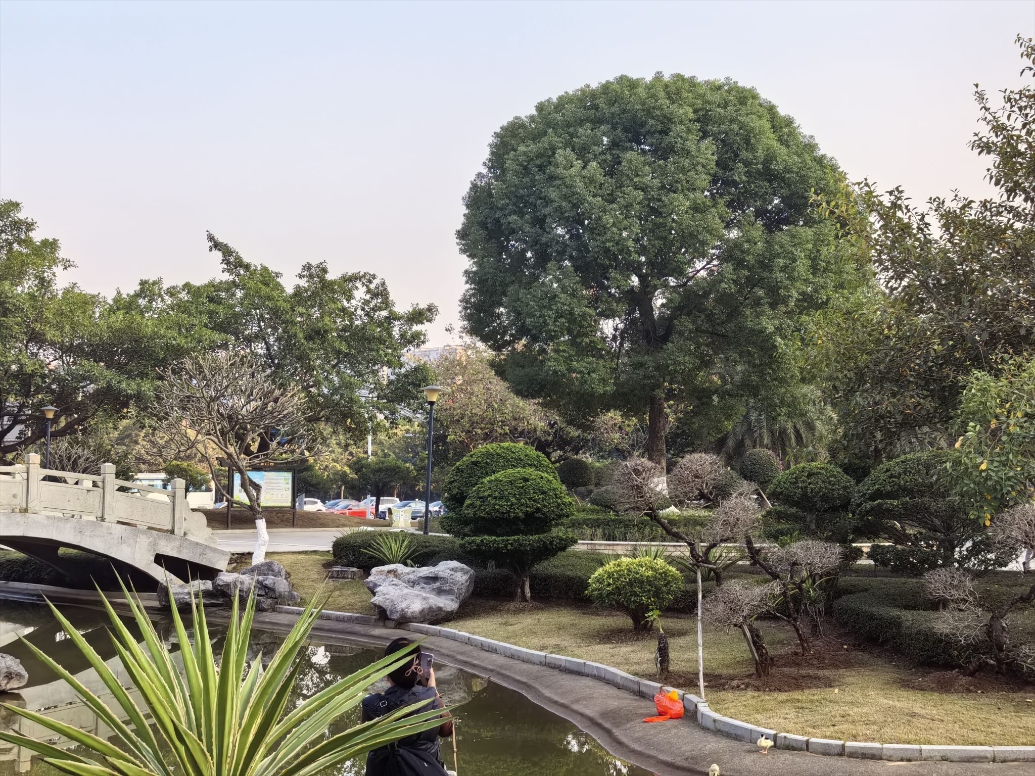 和谐公园旅行图片 3