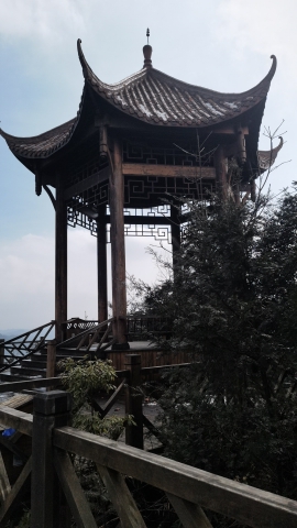 羊九森林公园旅行图片 1