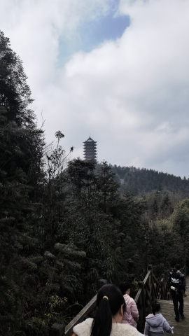 羊九森林公园旅行图片 2