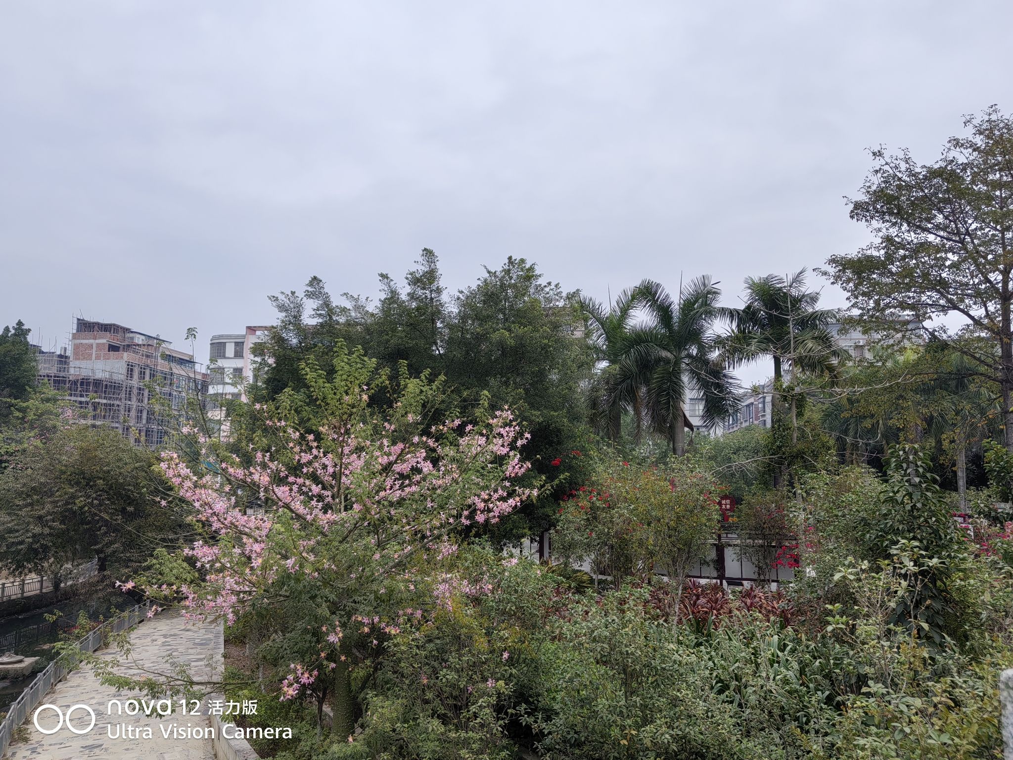 香山公园(暂停开放)旅行图片 1