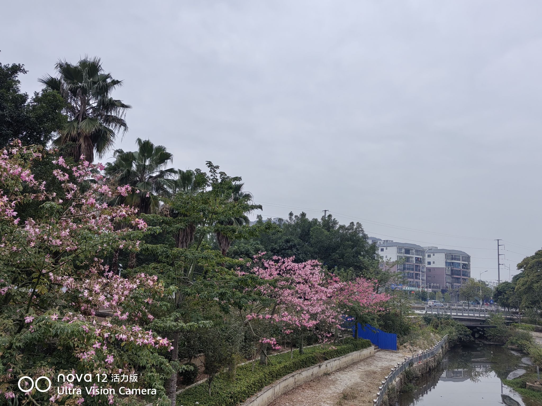 香山公园(暂停开放)旅行图片 3