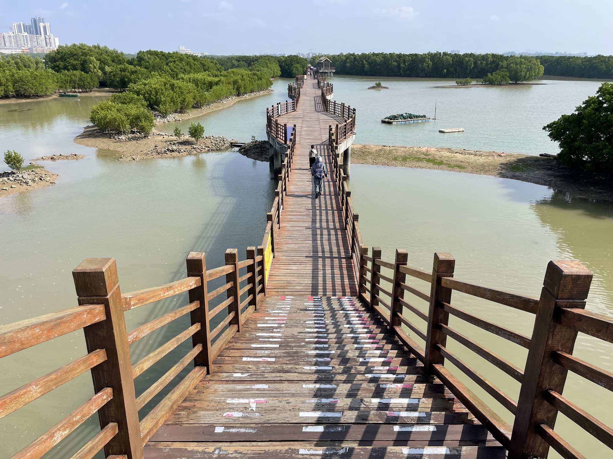 万亩红树林景区旅行图片 2