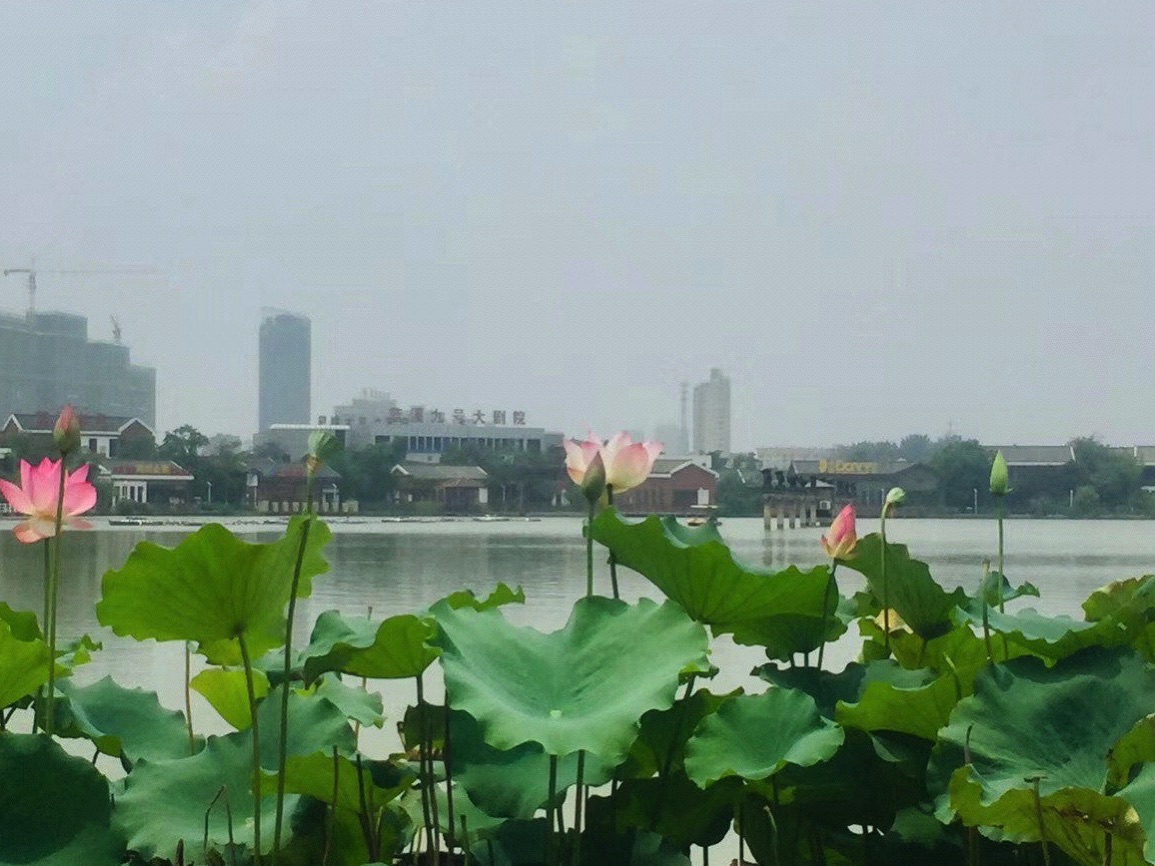 兴茂·悠然蓝溪旅行图片 1