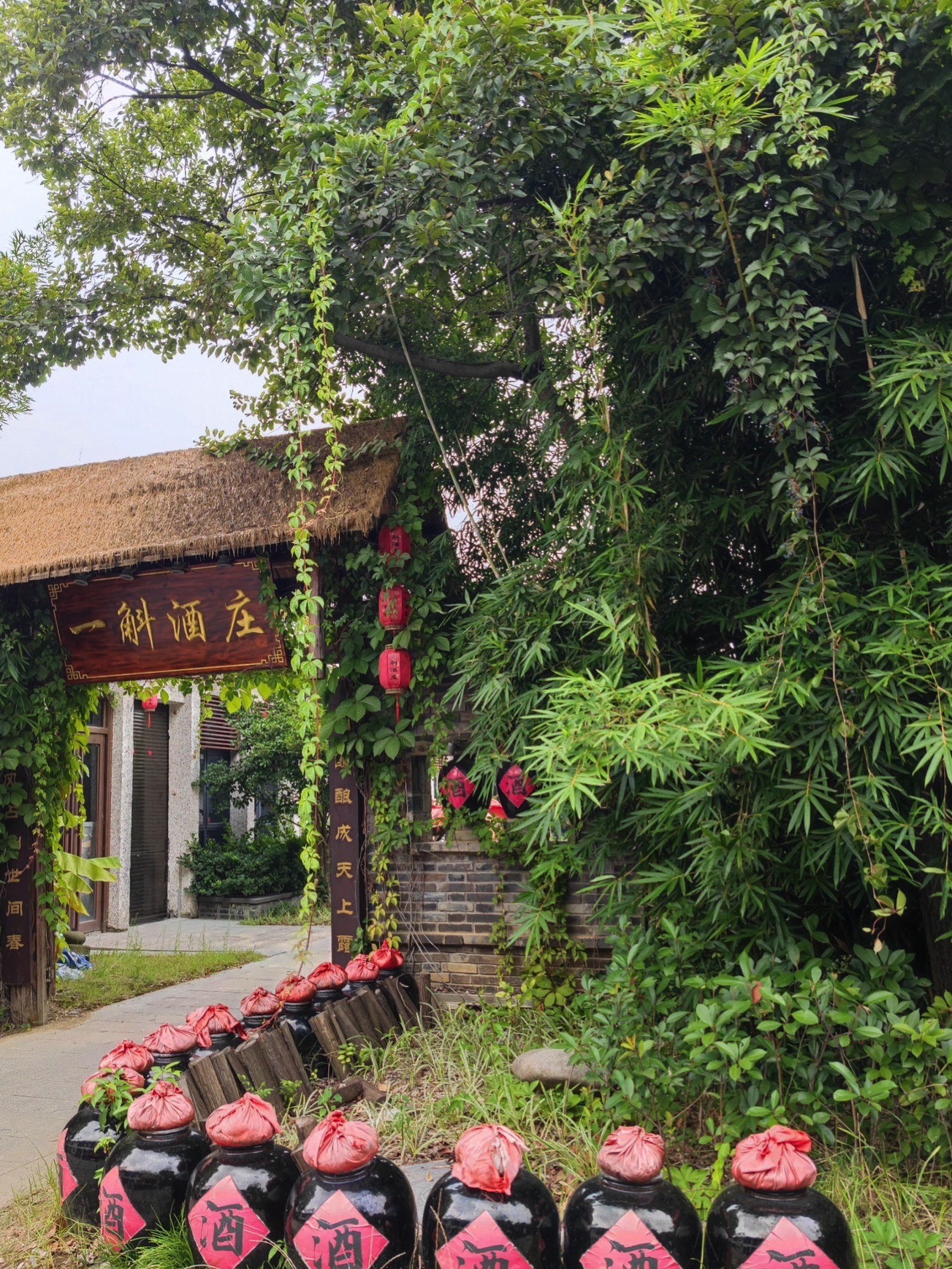 兴茂·悠然蓝溪旅行图片 2