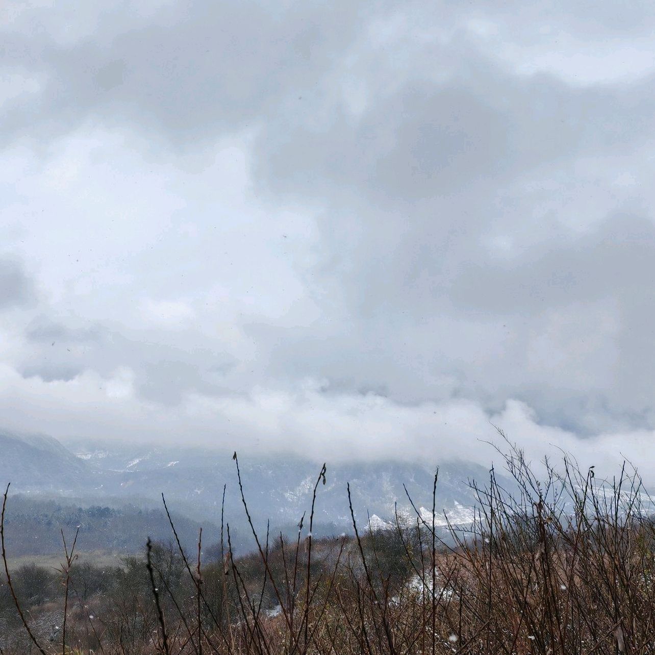 孟获城旅行图片 2