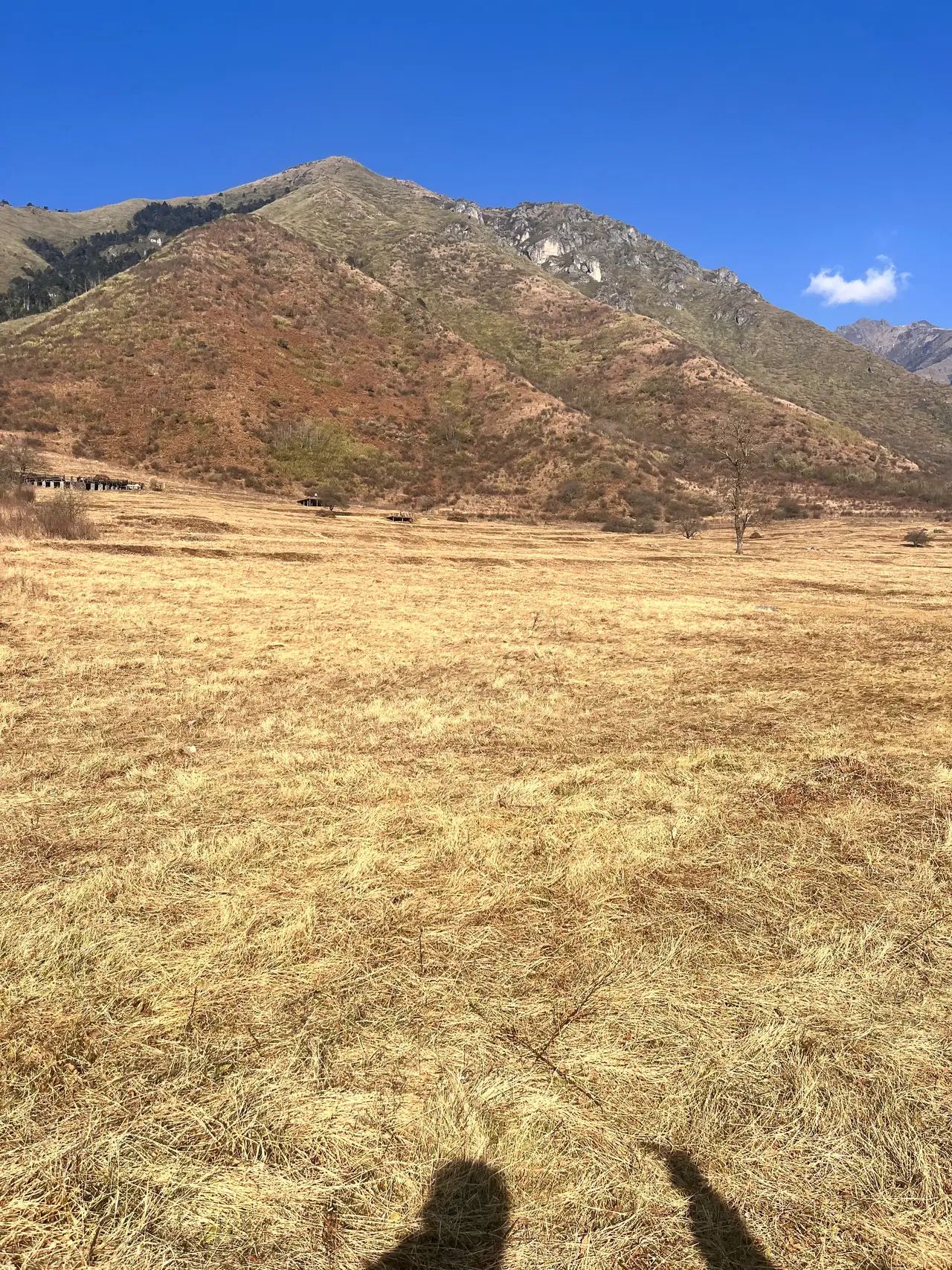 孟获城旅行图片 3