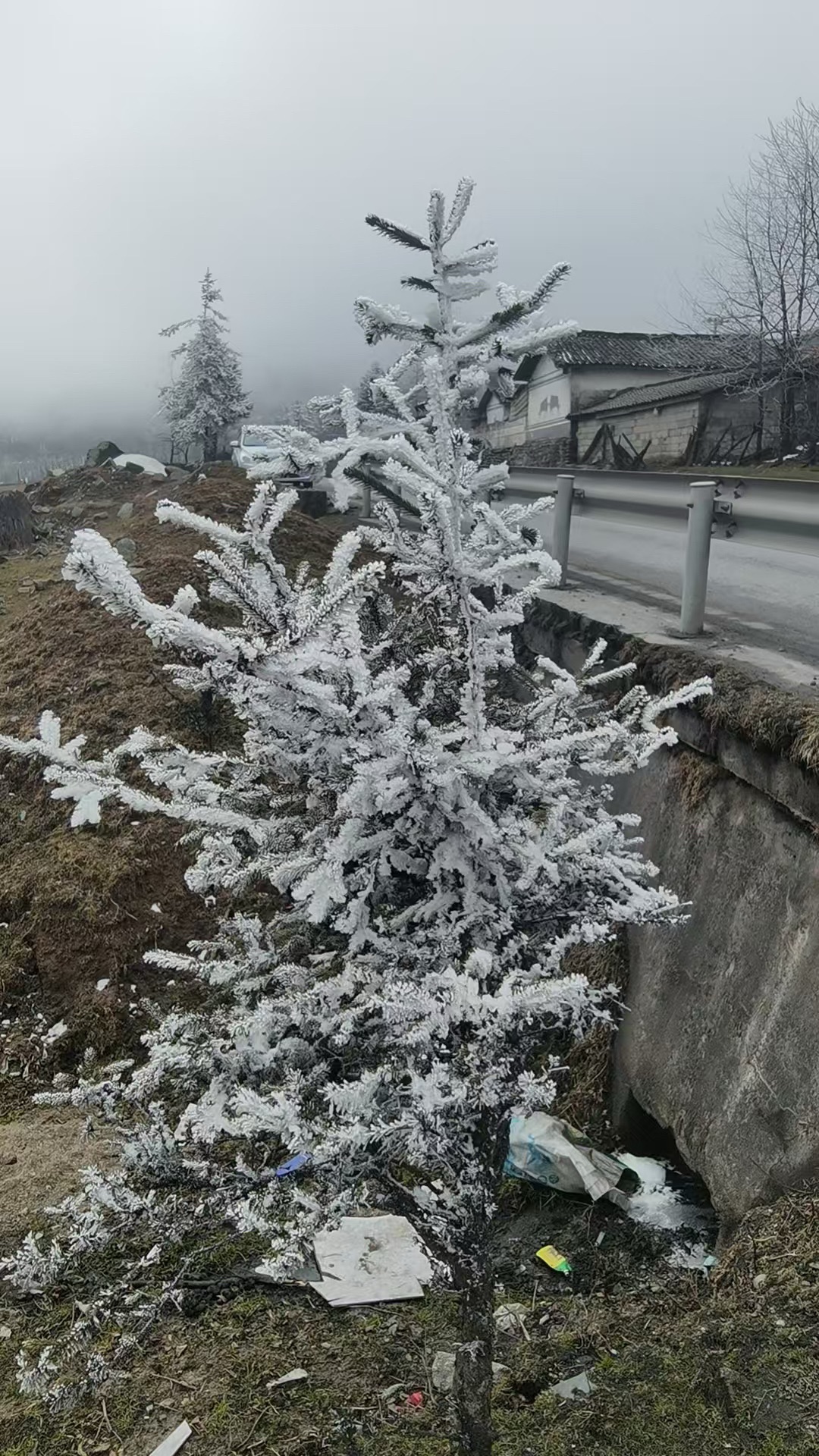 孟获城旅行图片 3