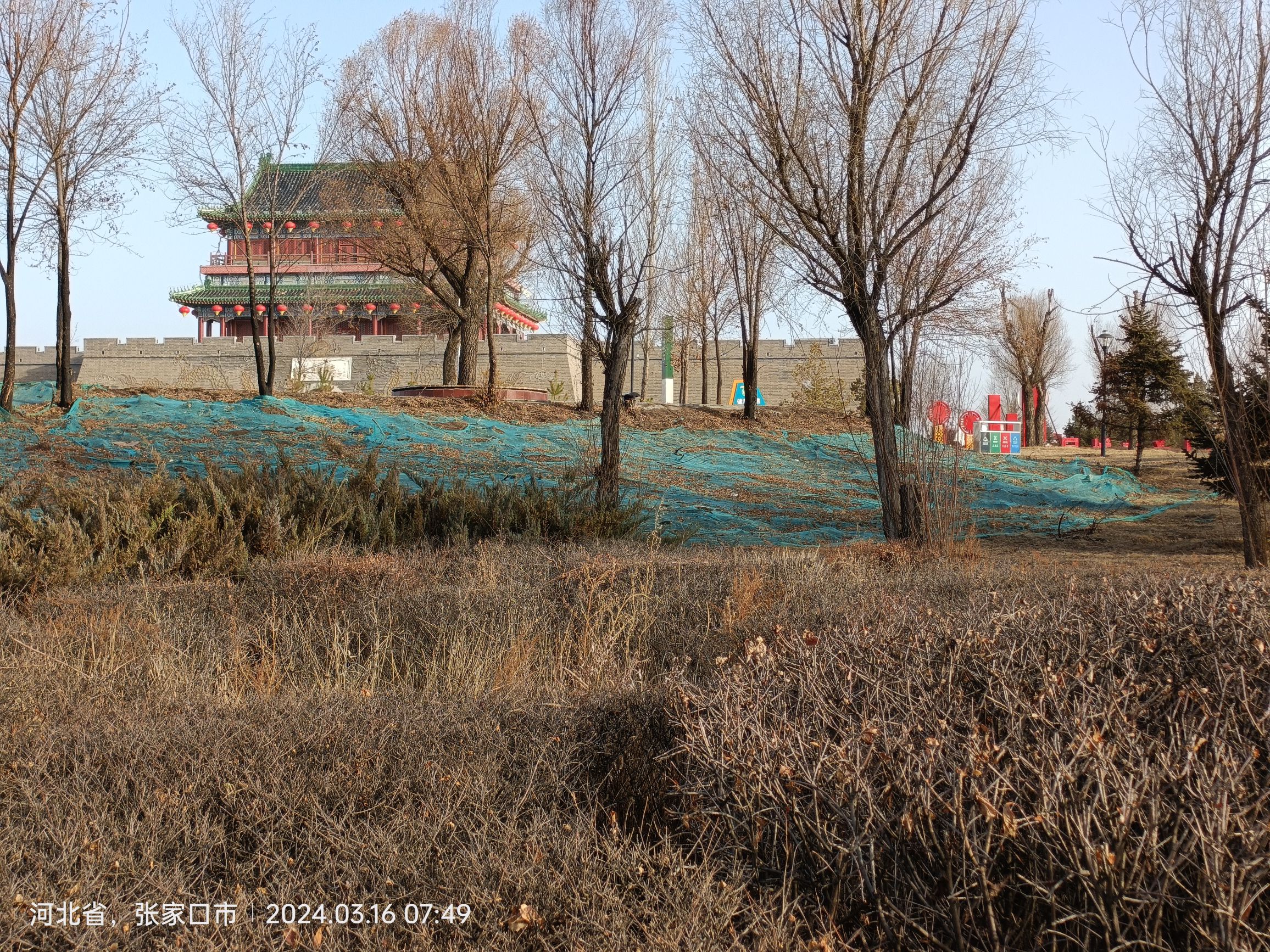 揽胜楼旅行图片 2