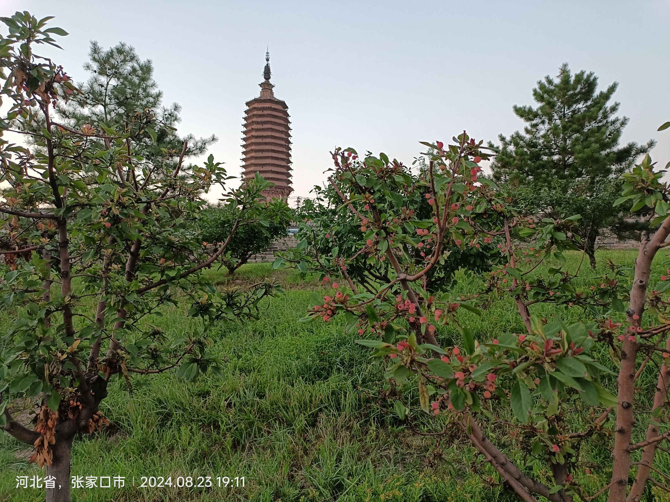 护城河公园旅行图片 2