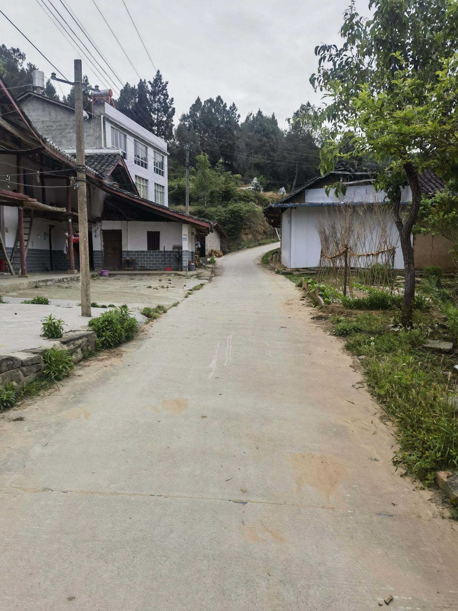 斑竹村风景区旅行图片 1