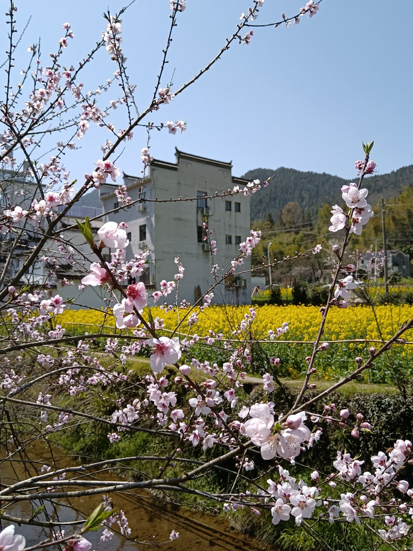 庆源古村旅行图片 1