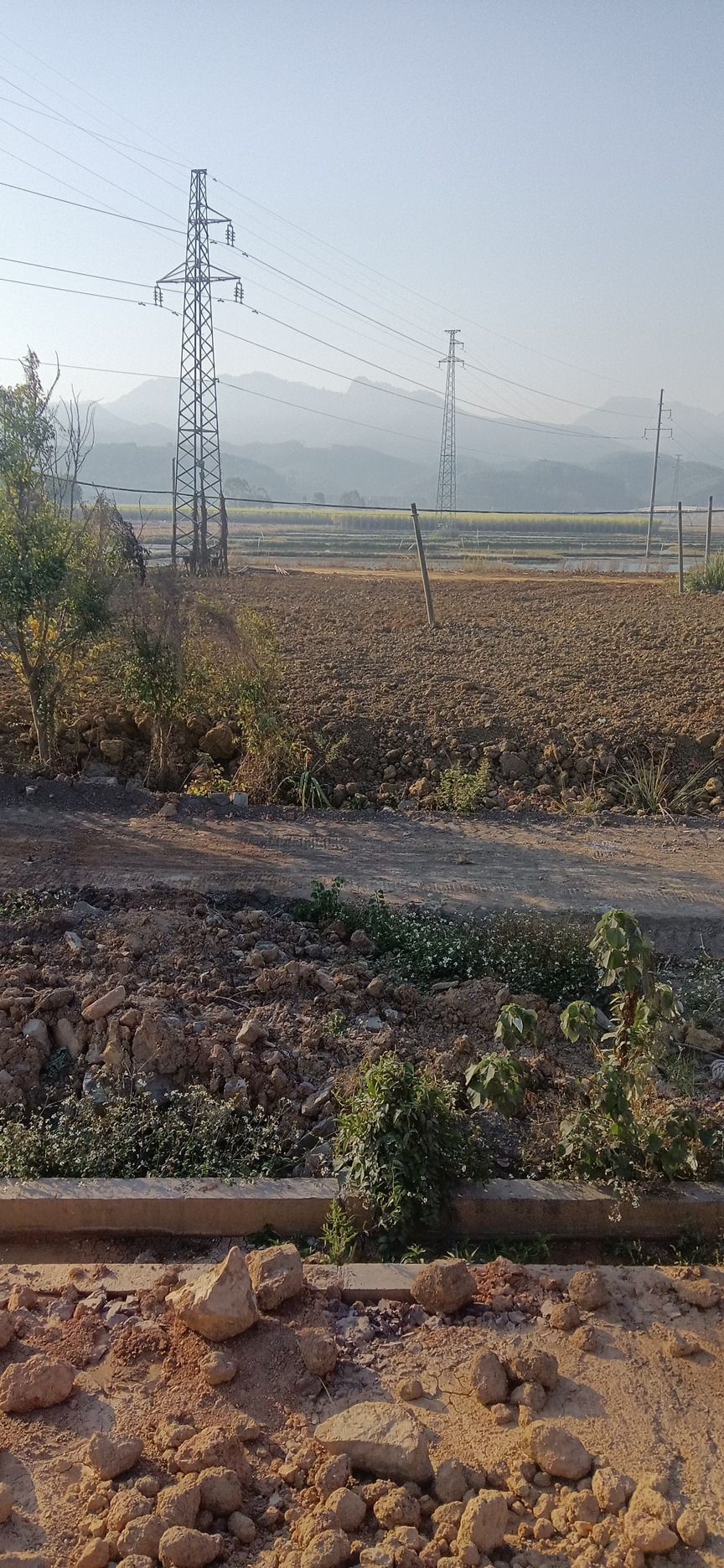 荷香人间旅行图片 1