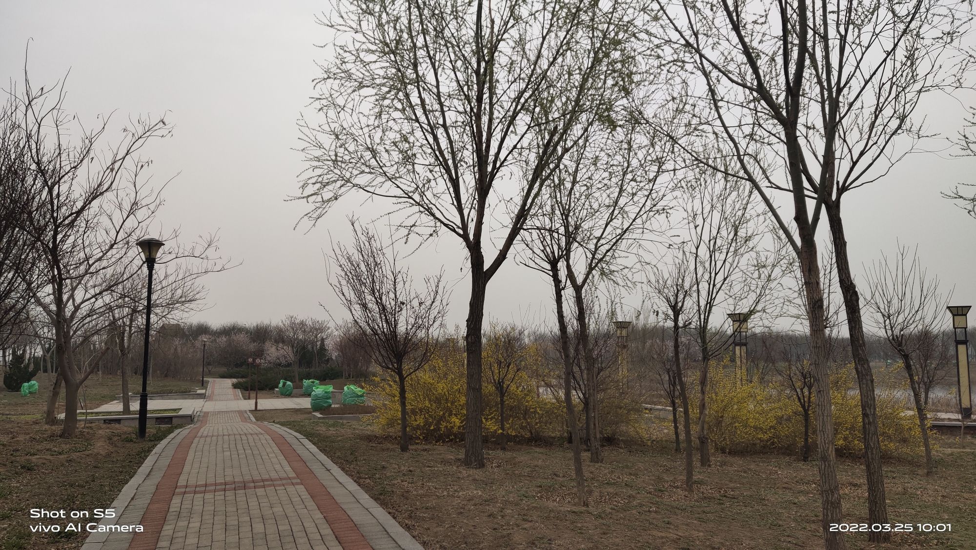 七星湖公园旅行图片 1