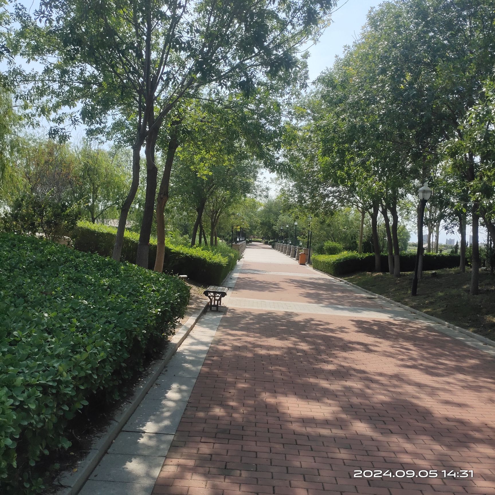 七星湖公园旅行图片 2