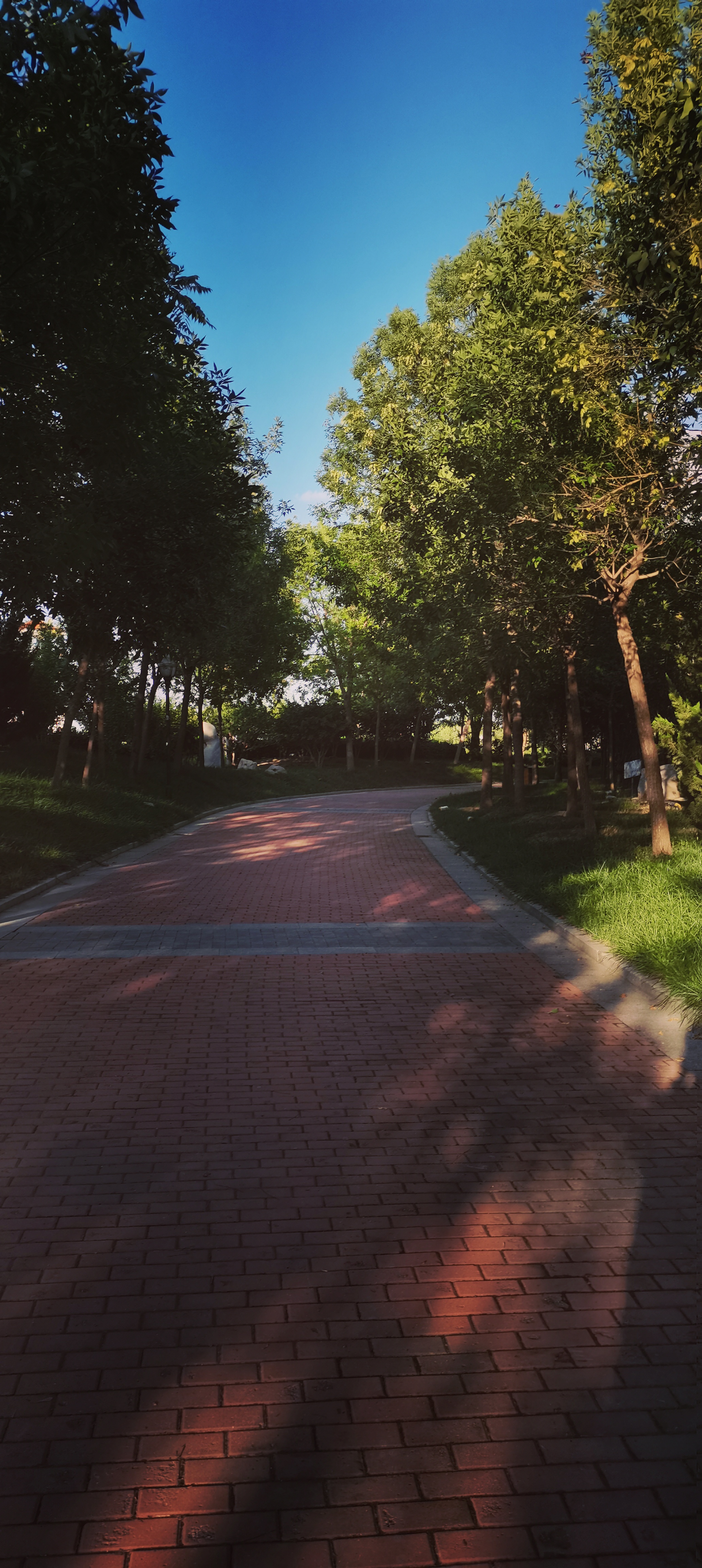 七星湖公园旅行图片 1