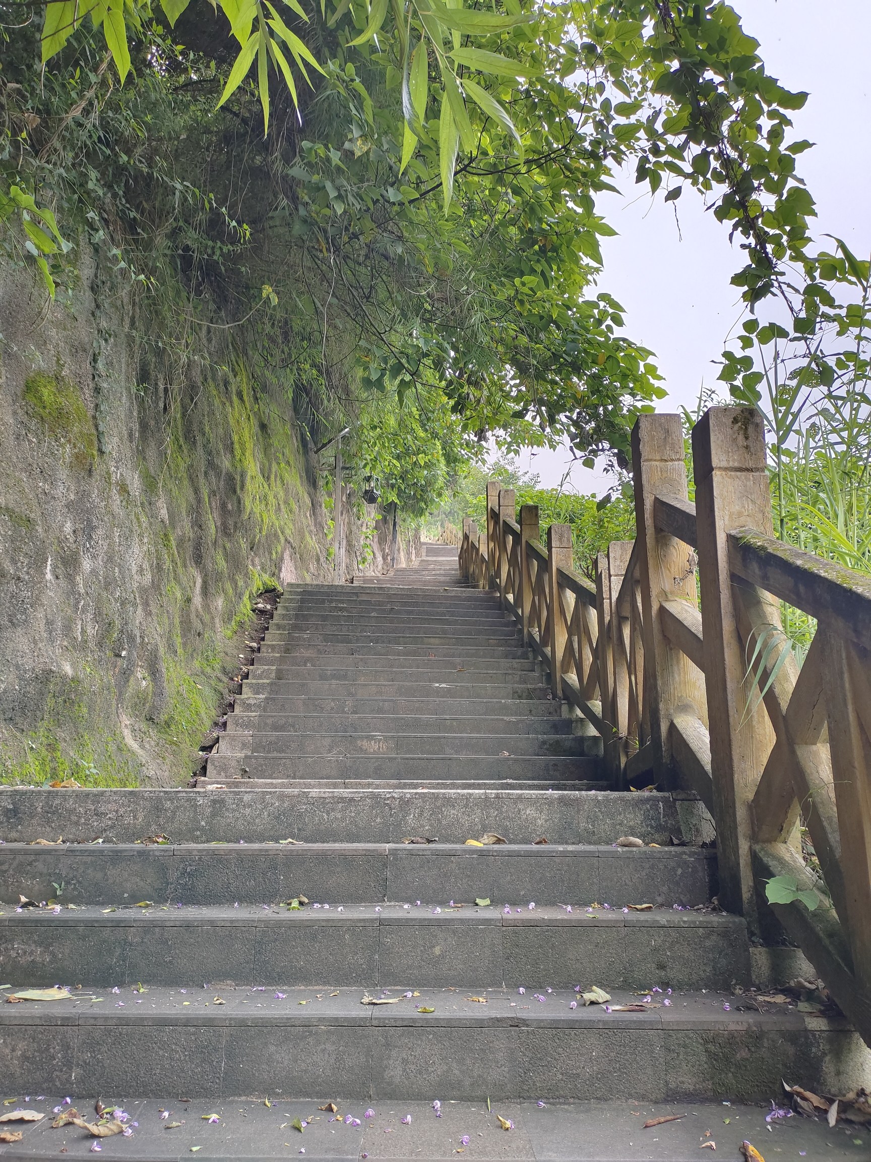兰家山旅行图片 2