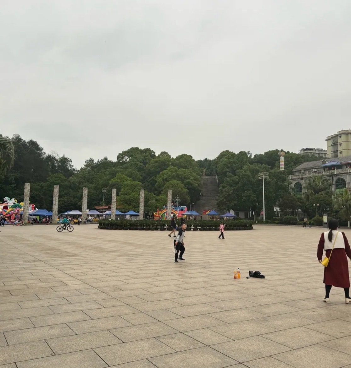 宜章红色森林公园旅行图片 1