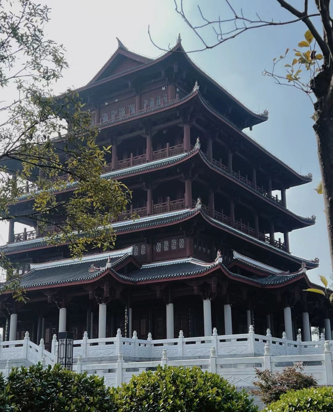 观静山植物公园旅行图片 3