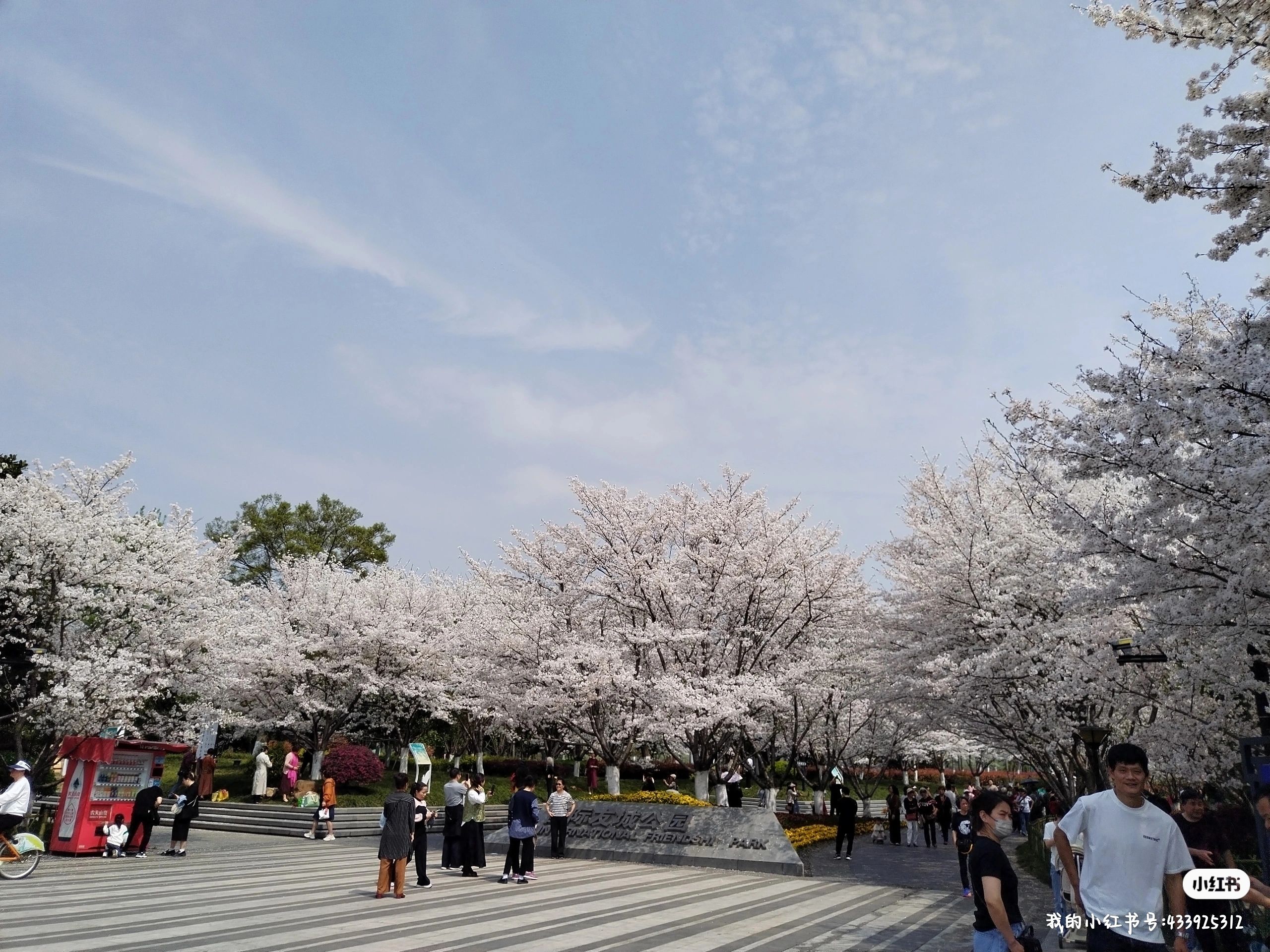 金华国际友城公园旅行图片 3