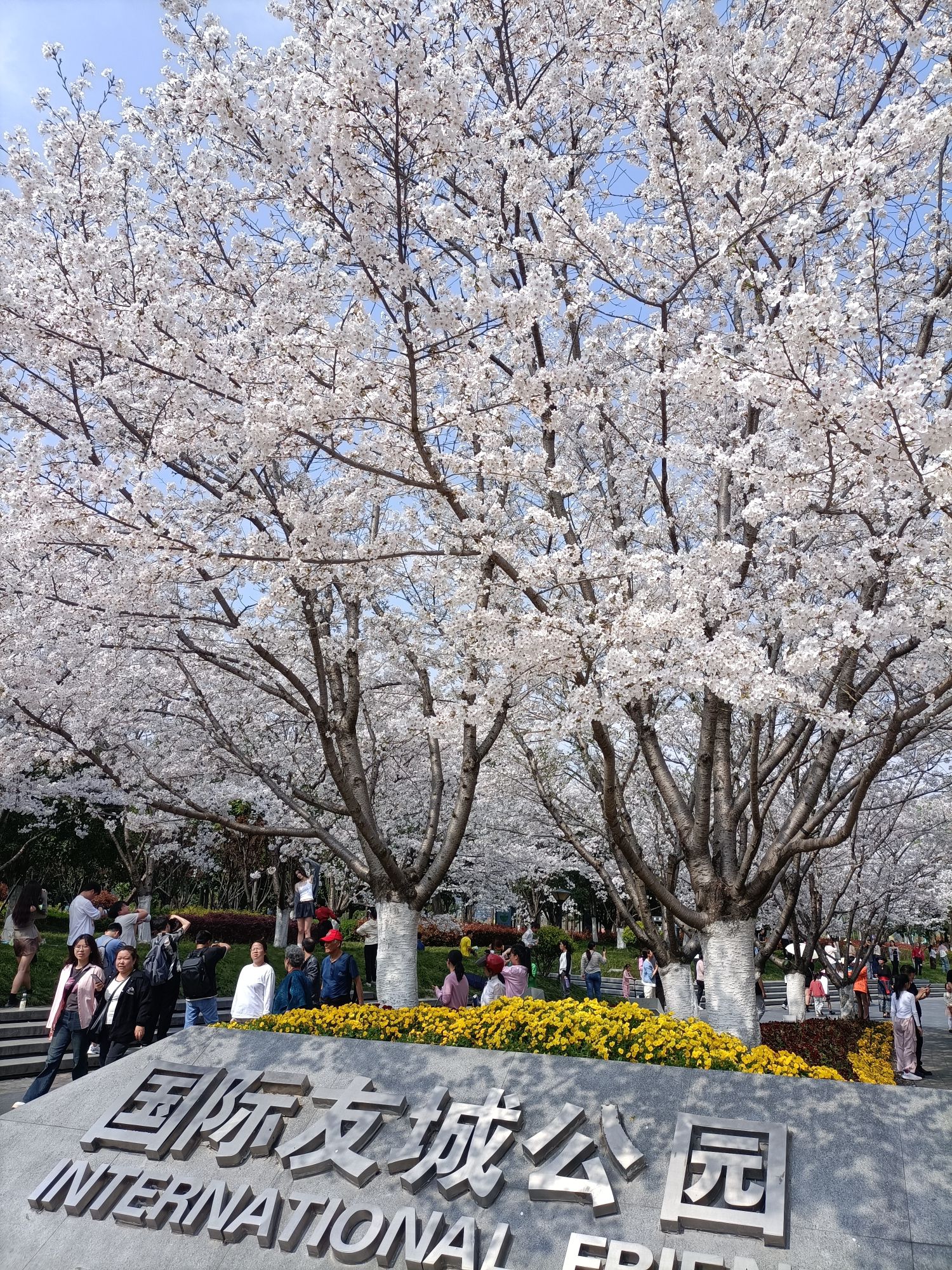 金华国际友城公园