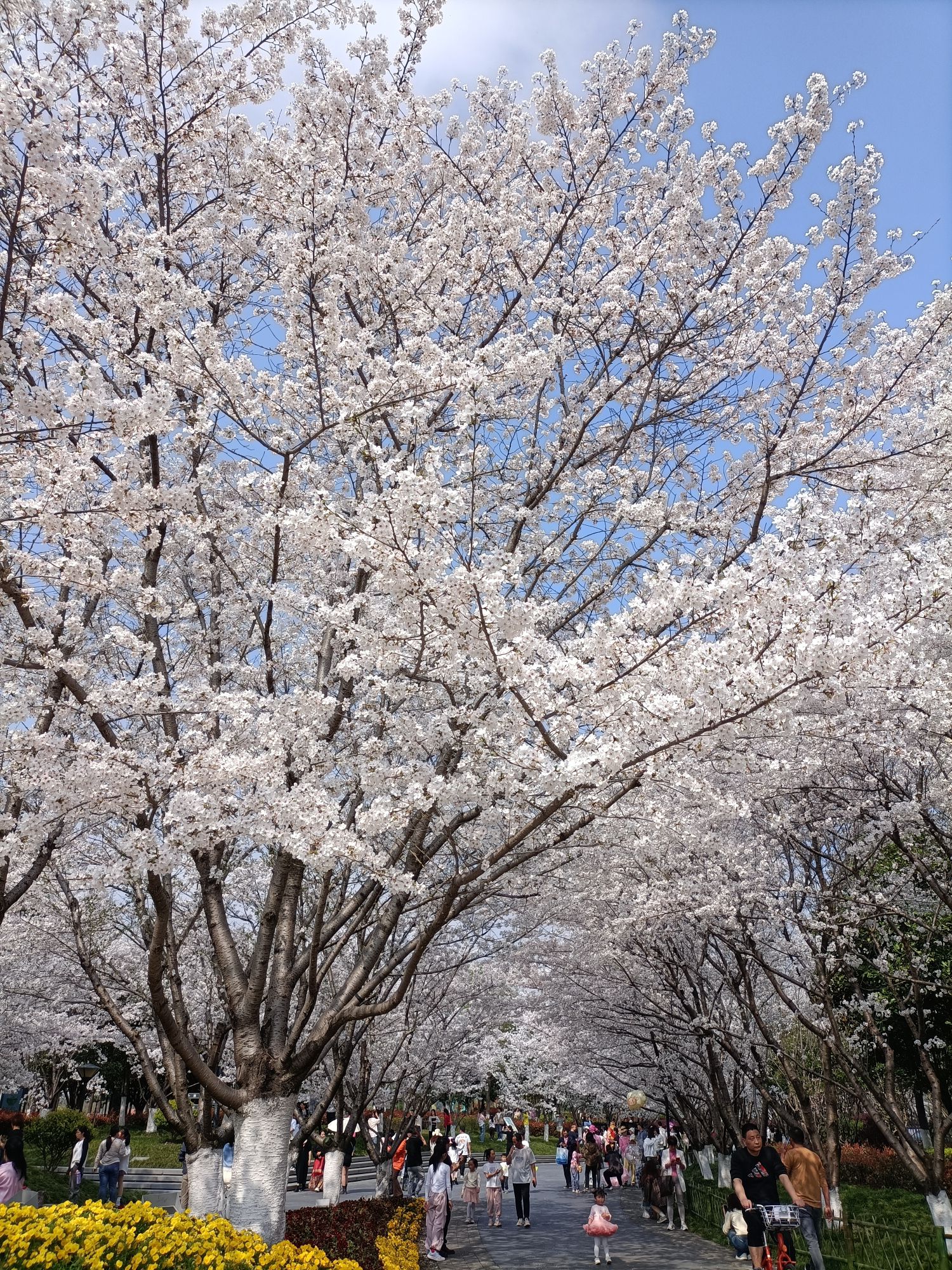 金华国际友城公园旅行图片 2