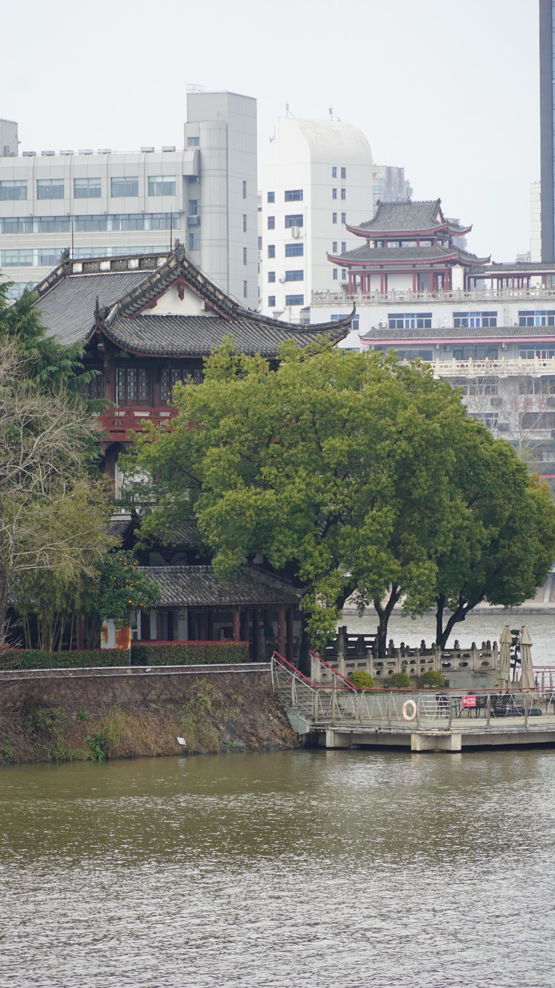 金华国际友城公园旅行图片 3