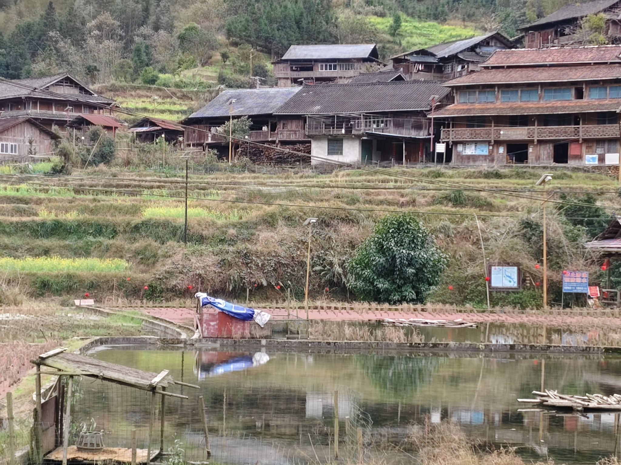 田头苗寨旅行图片 2