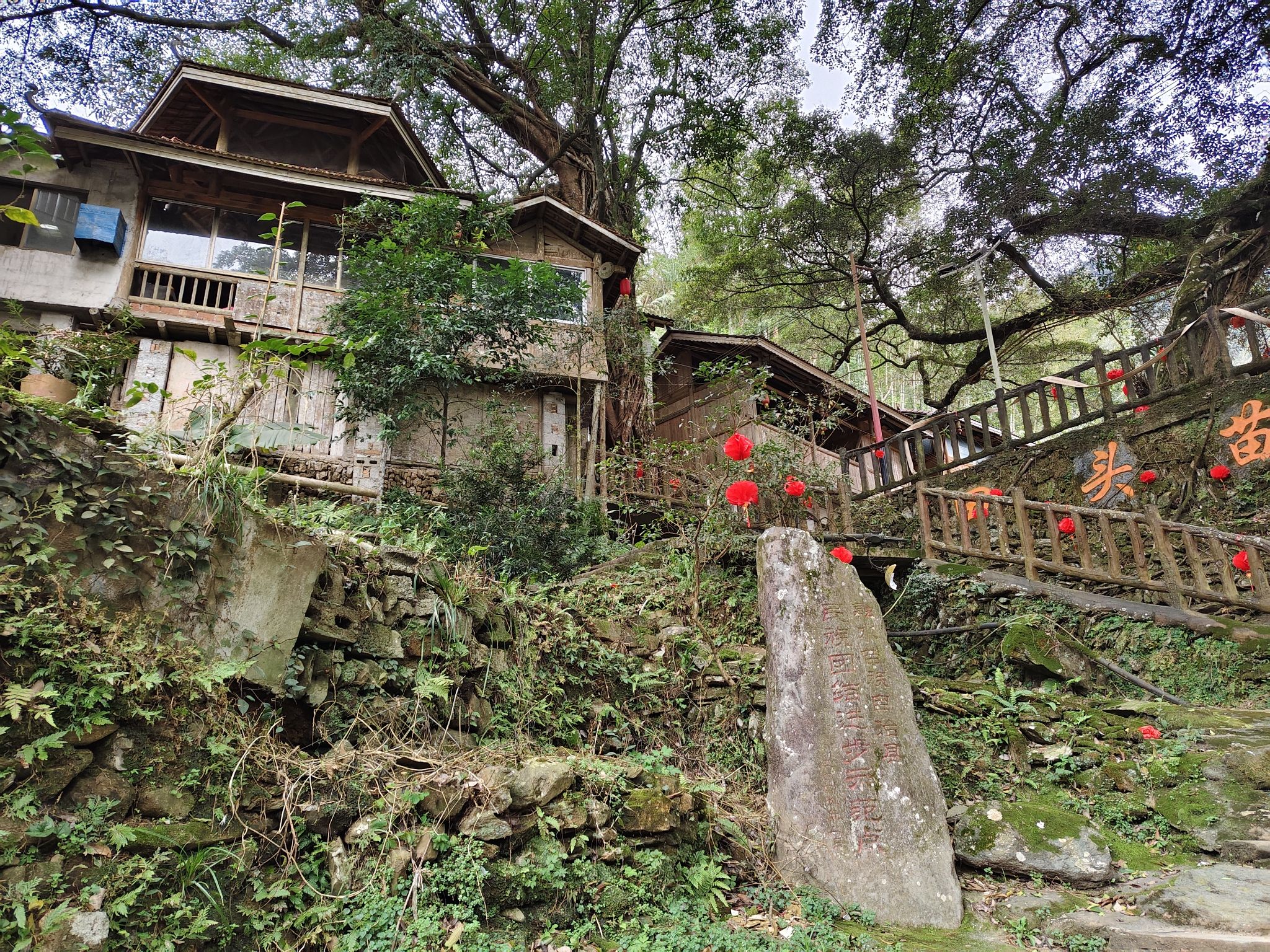 田头苗寨旅行图片 1