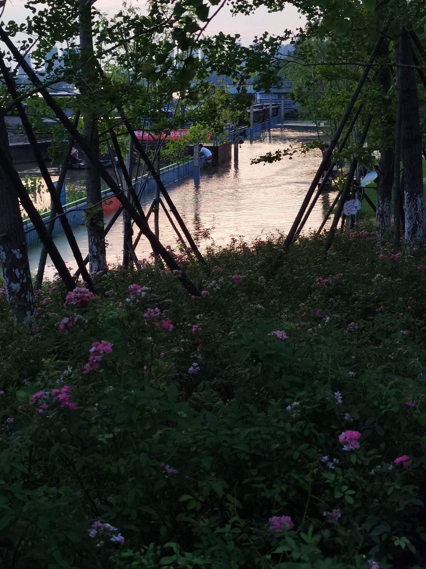 沙颍河国家湿地公园旅行图片 3