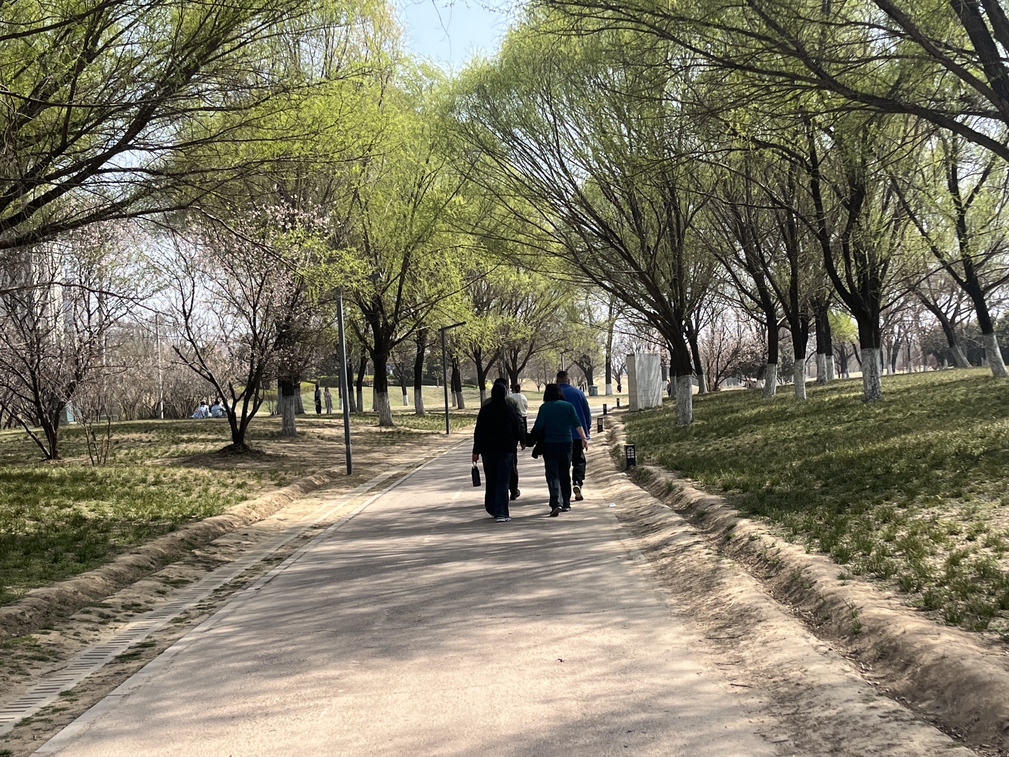 沙颍河国家湿地公园旅行图片 1