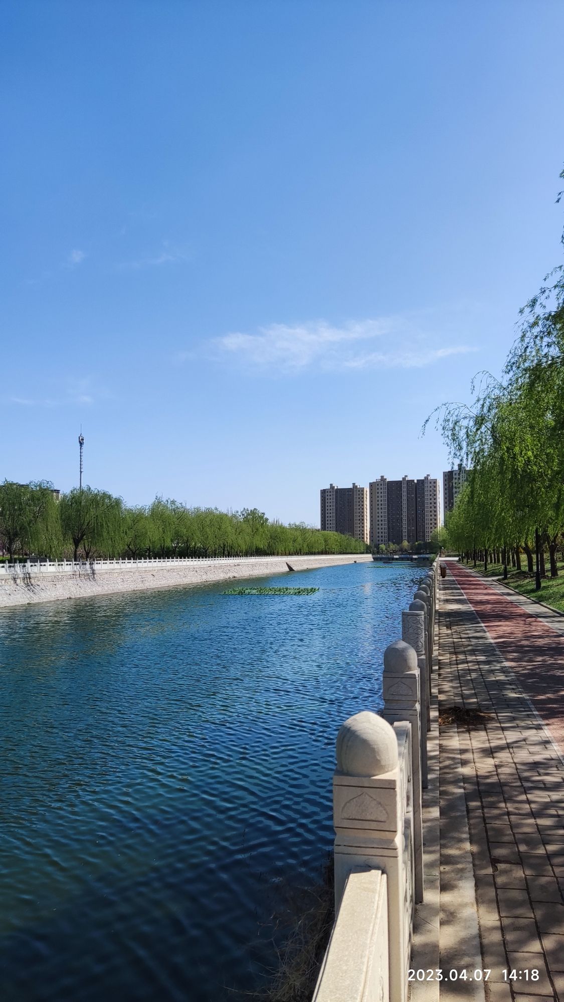 孟村饶安公园旅行图片 1