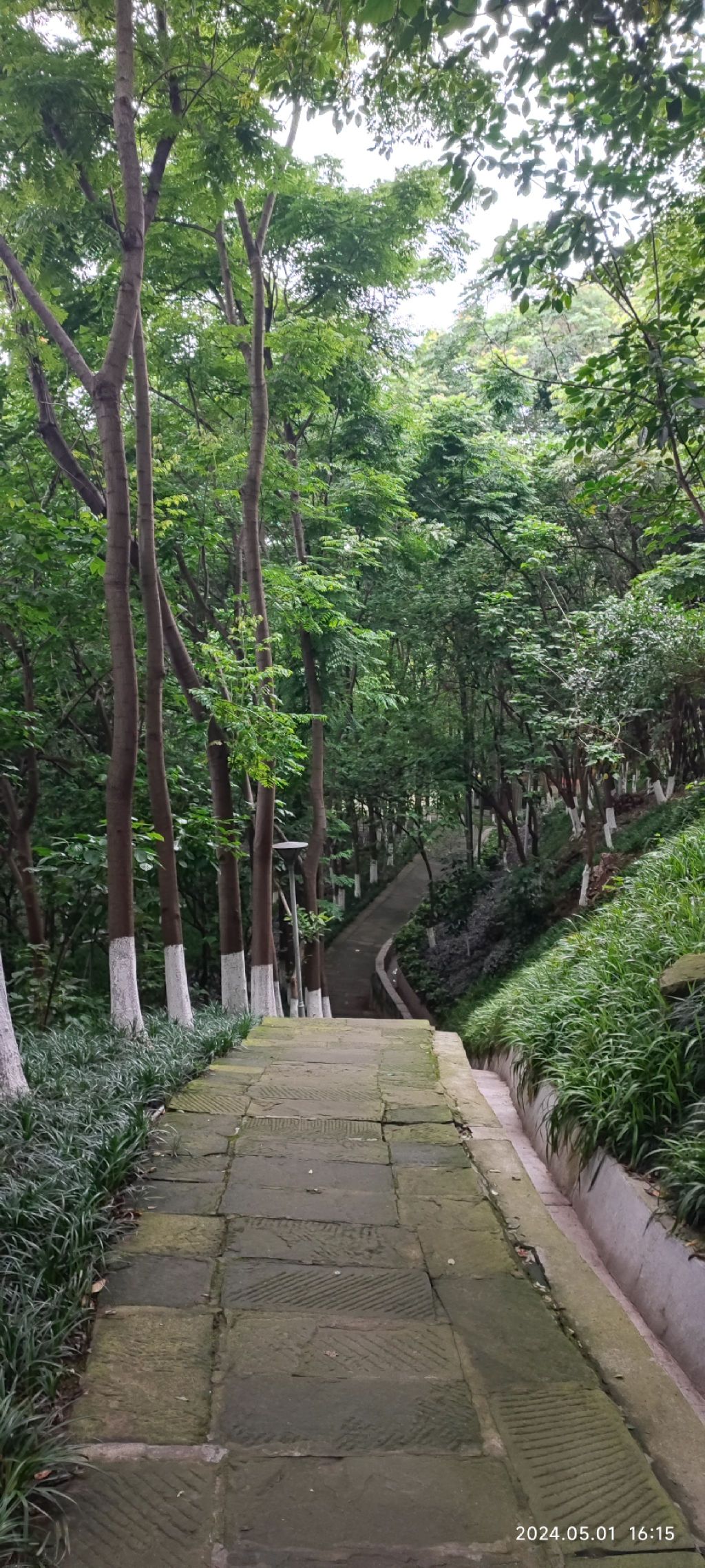 木崖公园旅行图片 3