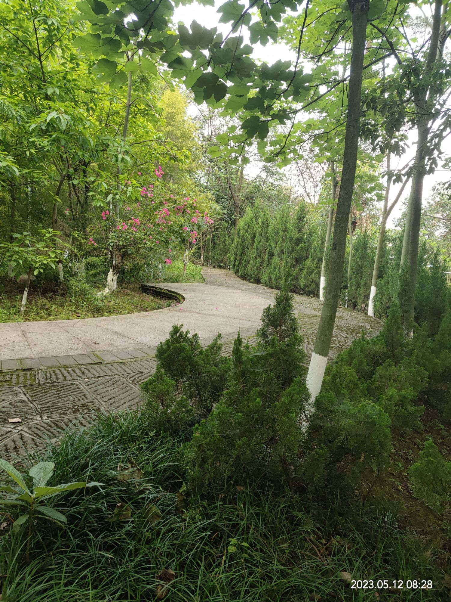 木崖公园旅行图片 2