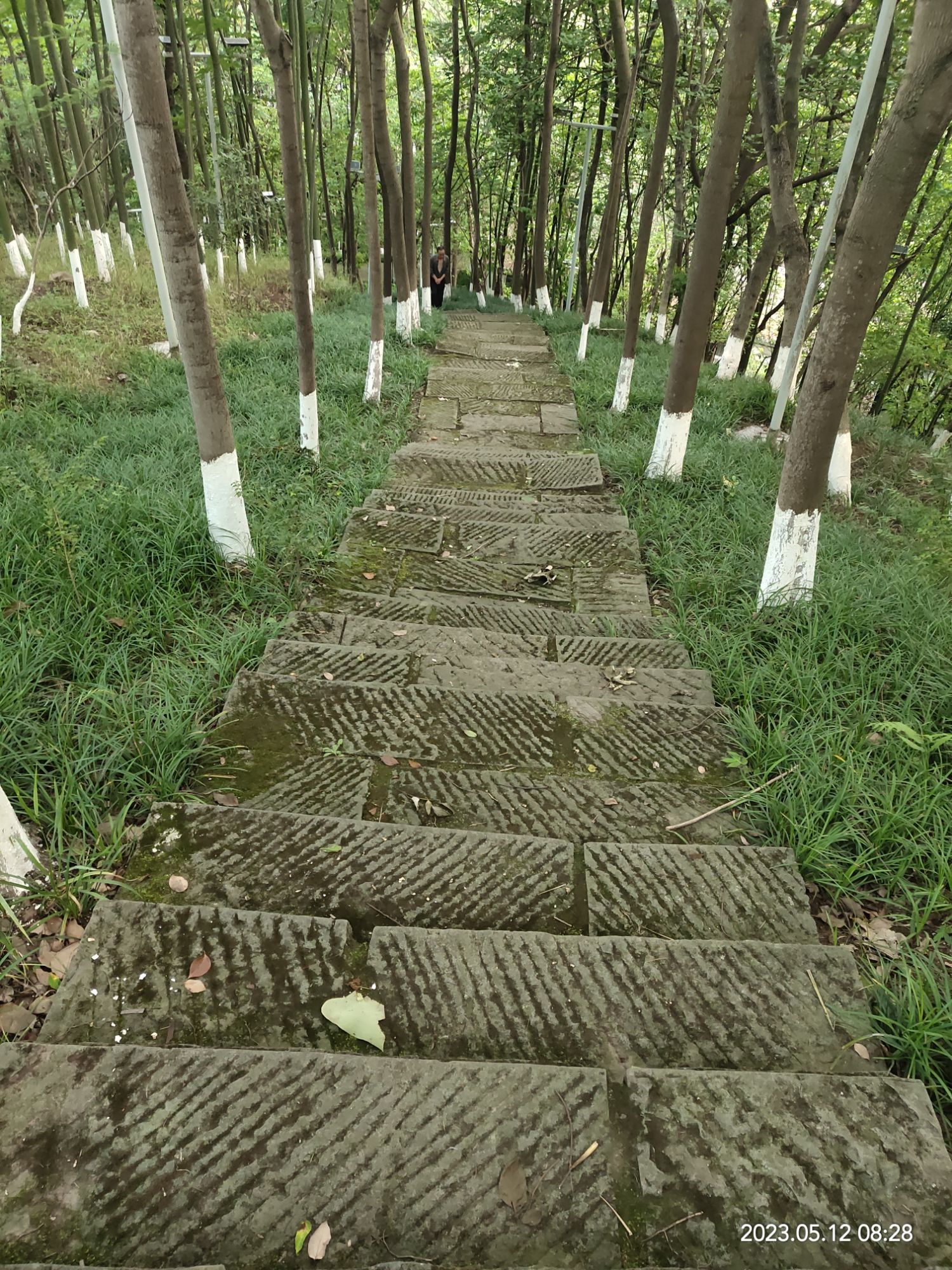 木崖公园旅行图片 1