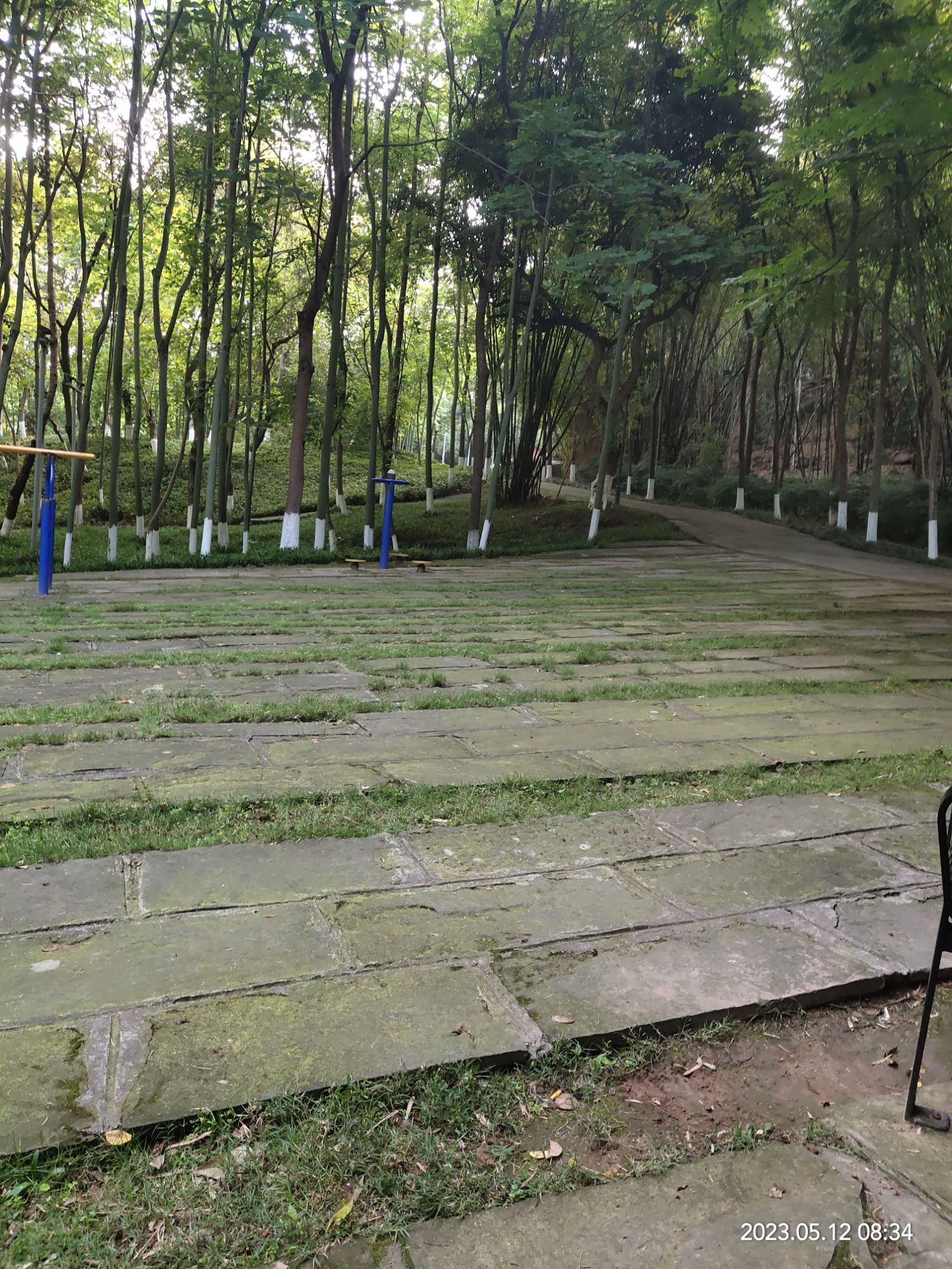 木崖公园旅行图片 3